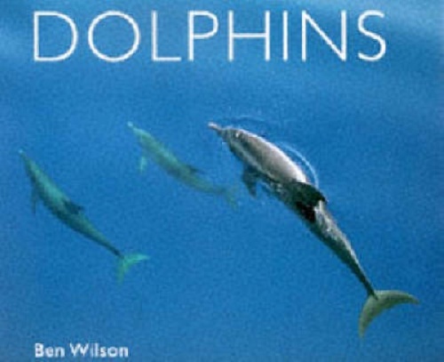 Worldlife Library Special Dolphins By Ben Wilson