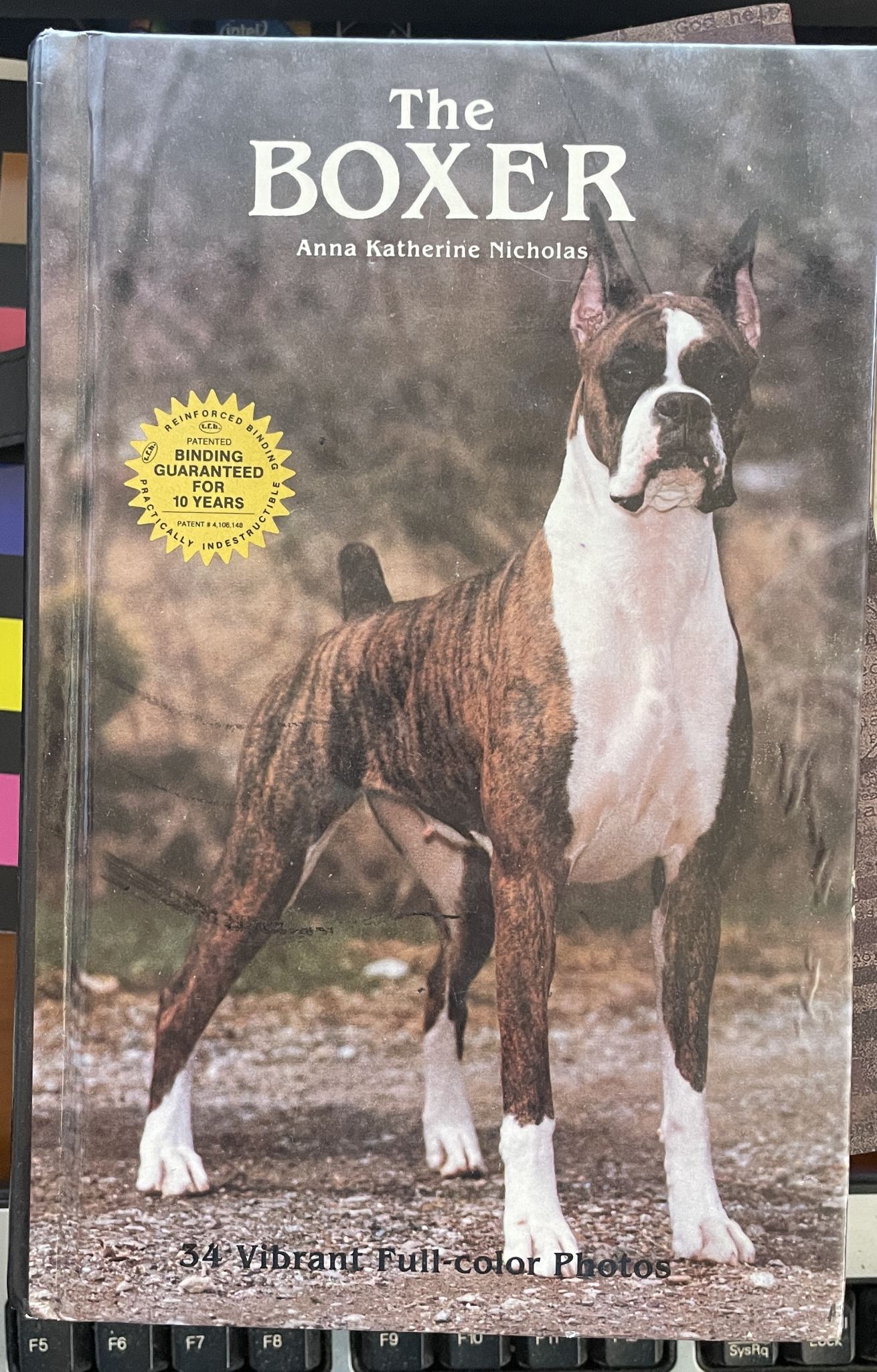 The Boxer By Anna Katherine Nicholas