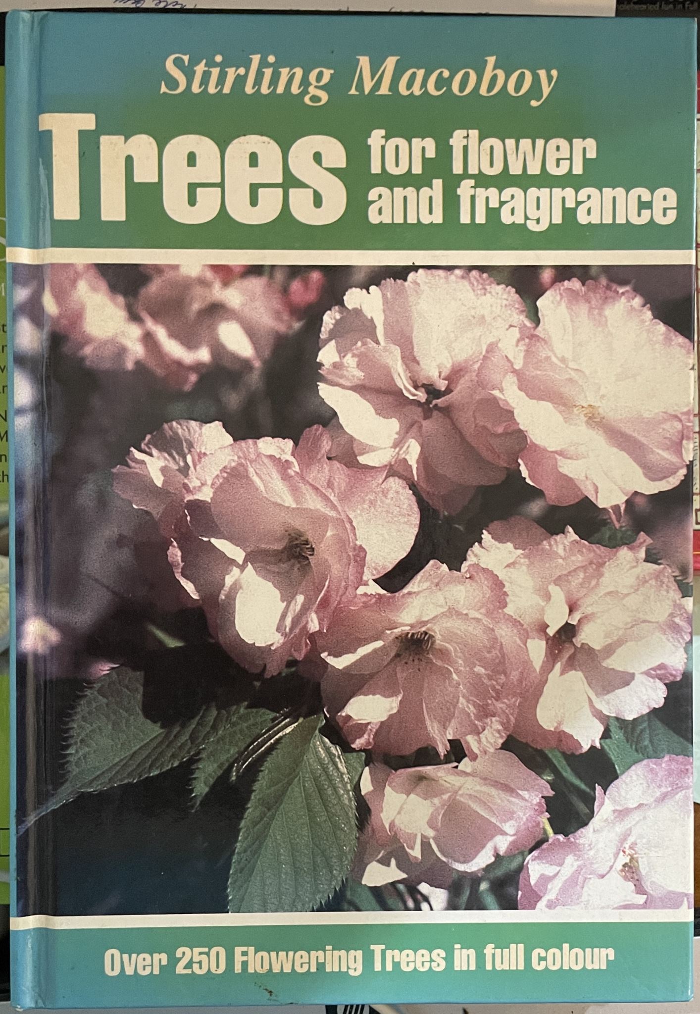 Stirling Macoboy Trees for Flower and Fragrance