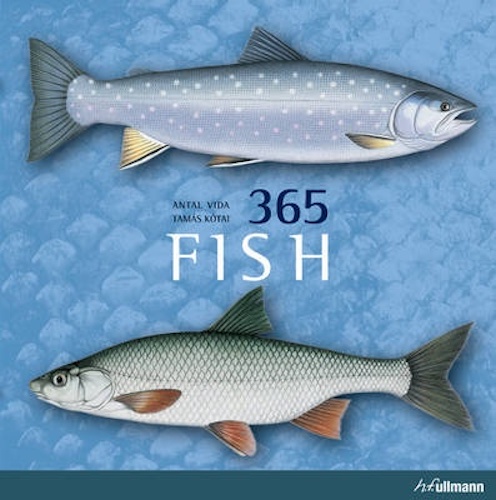 365 Fish by Antal Vida, Tamas Kotai