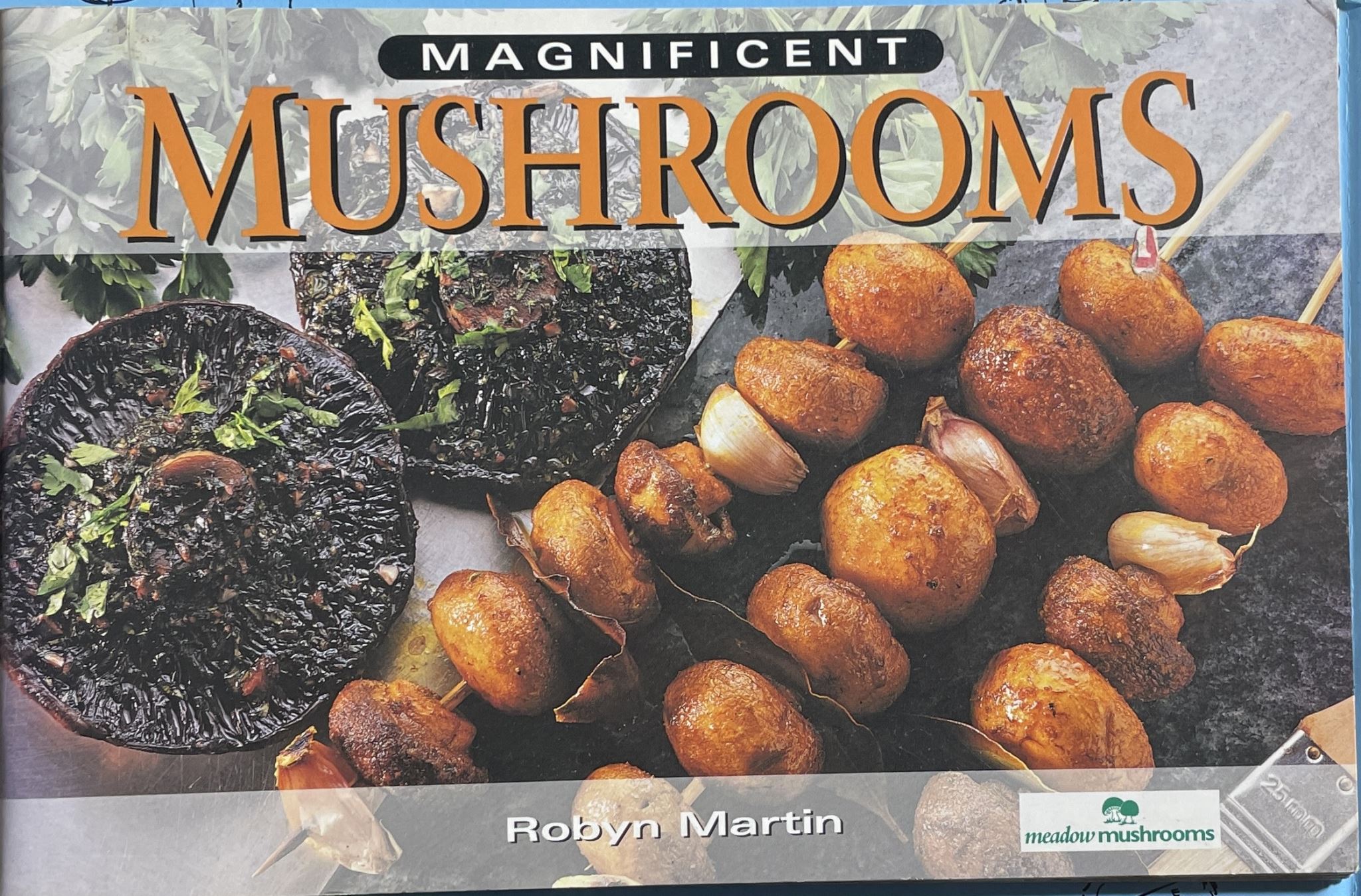 Magnificent Mushrooms by Robyn Martin