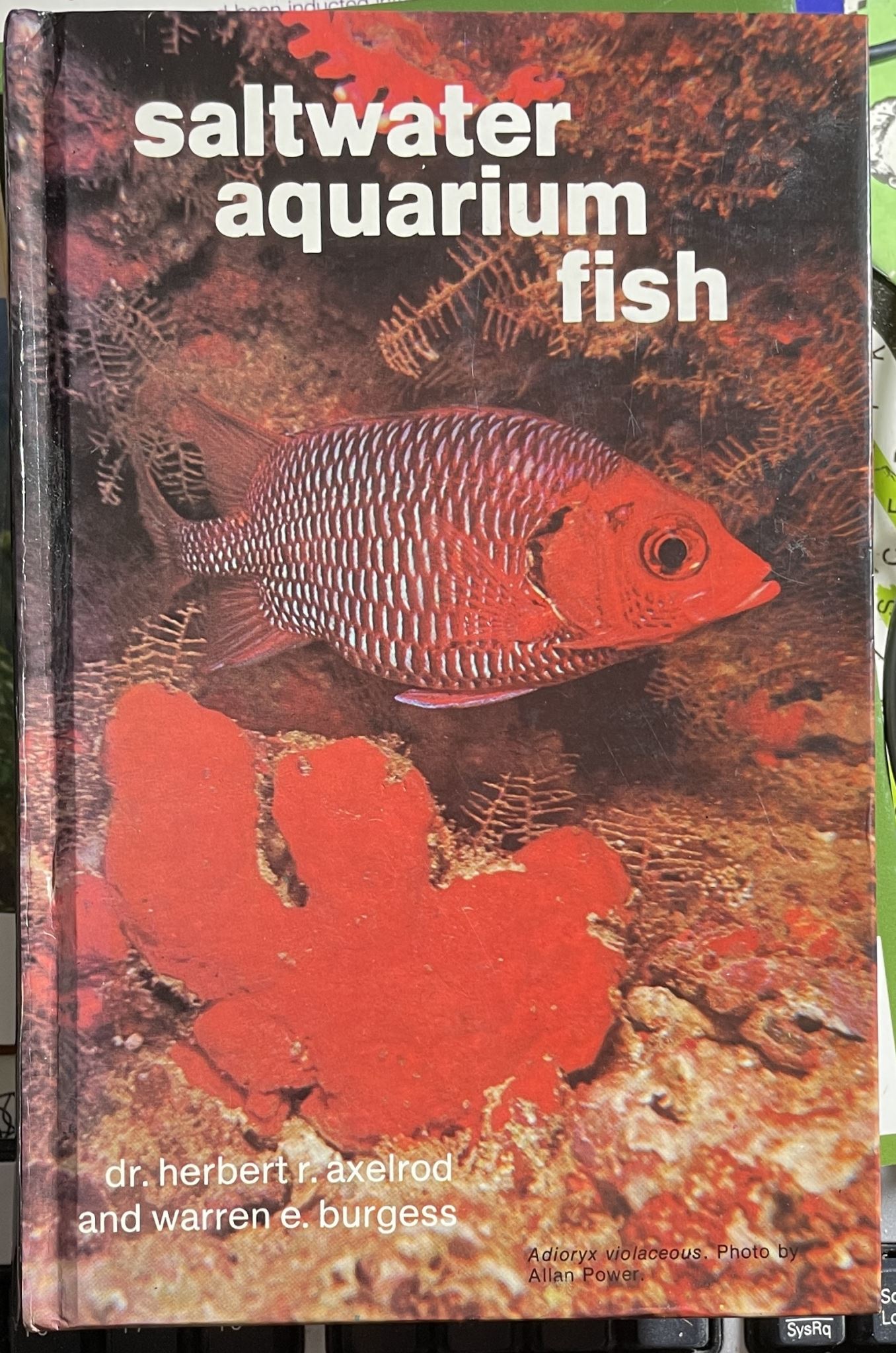 Saltwater Aquarium Fish by Dr Herbert R Axelrod and Warren E Burgess