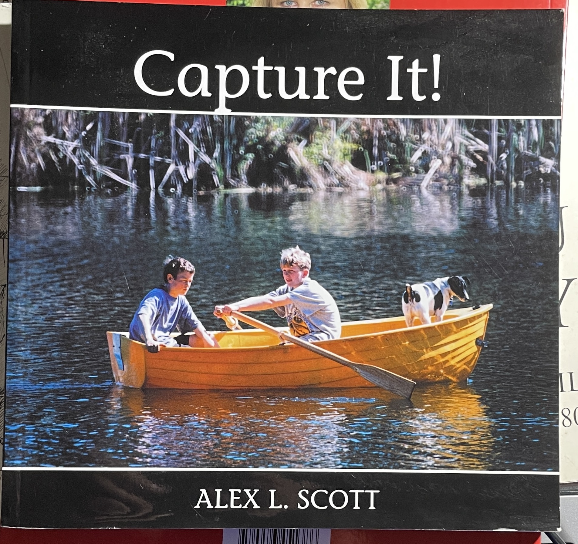 Capture It! by Alex L Scott