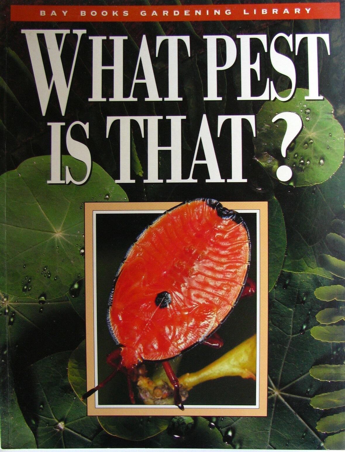 What Pest is That Edited by Frances Hutchison