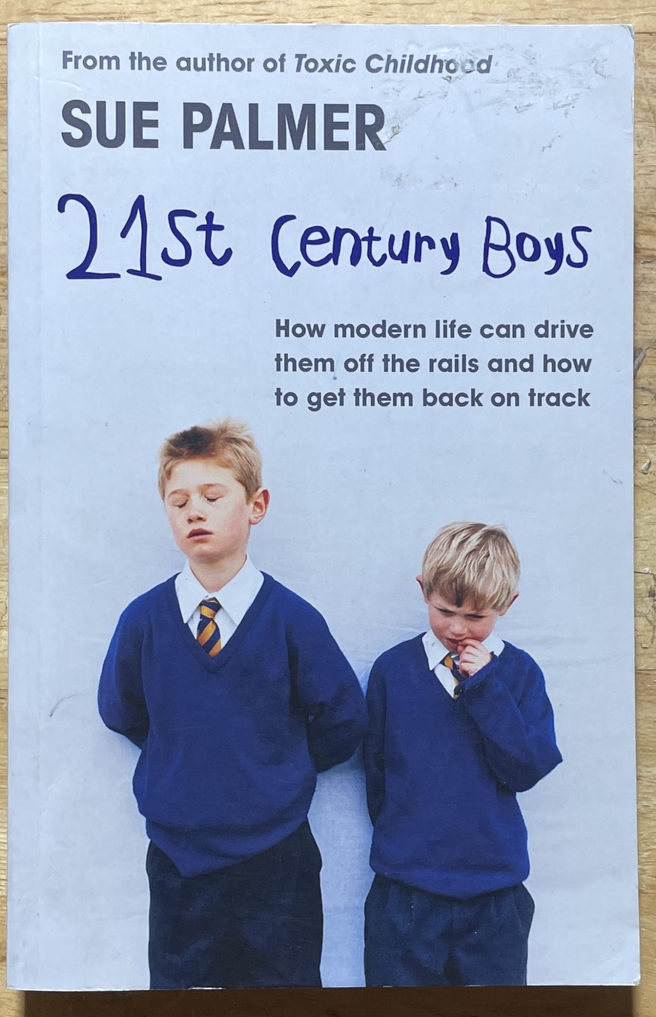 21st Century Boys by Sue Med Palmer