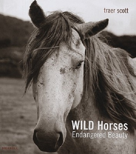 Wild Horses Endangered Beauty By Traer Scott