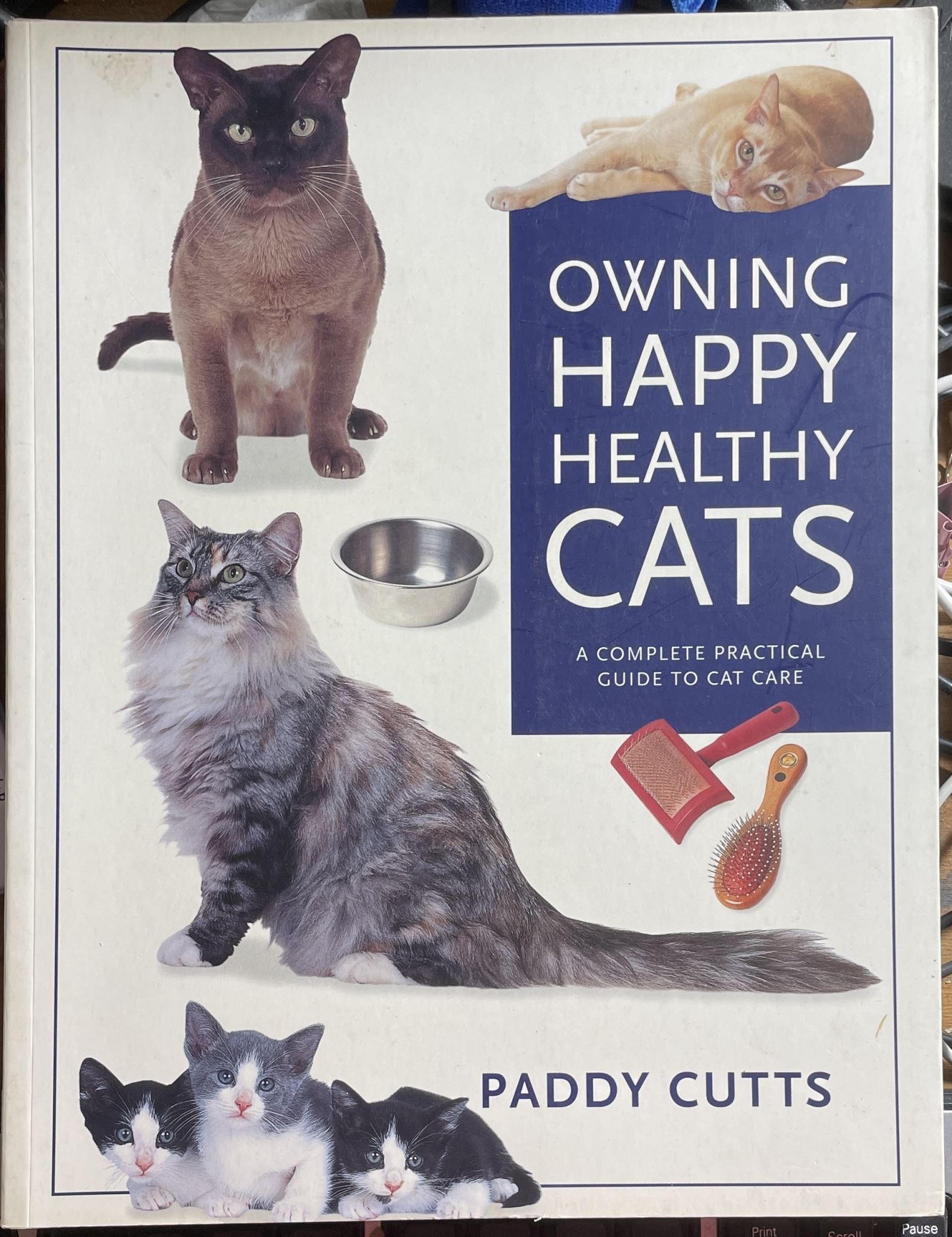 Owning Happy Healthy Cats By Paddy Cutts