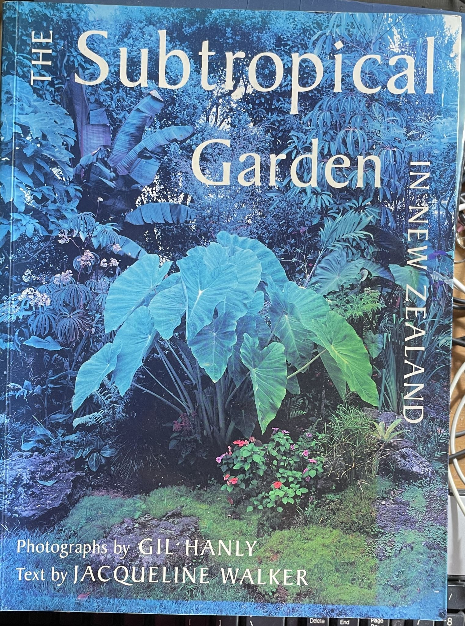 The Subtropical Garden in New Zealand