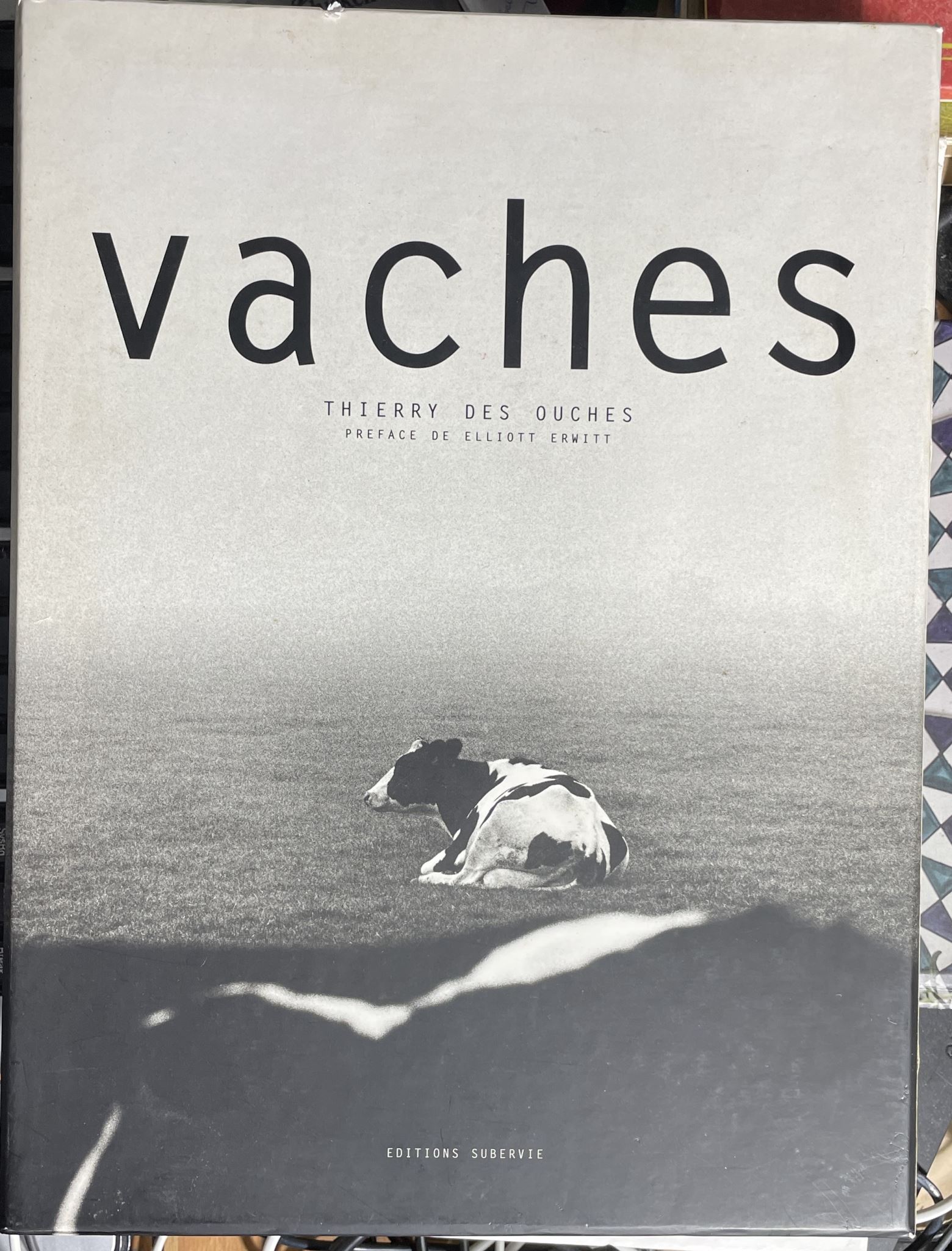 Vaches Photographies De Thierry Des Ouches