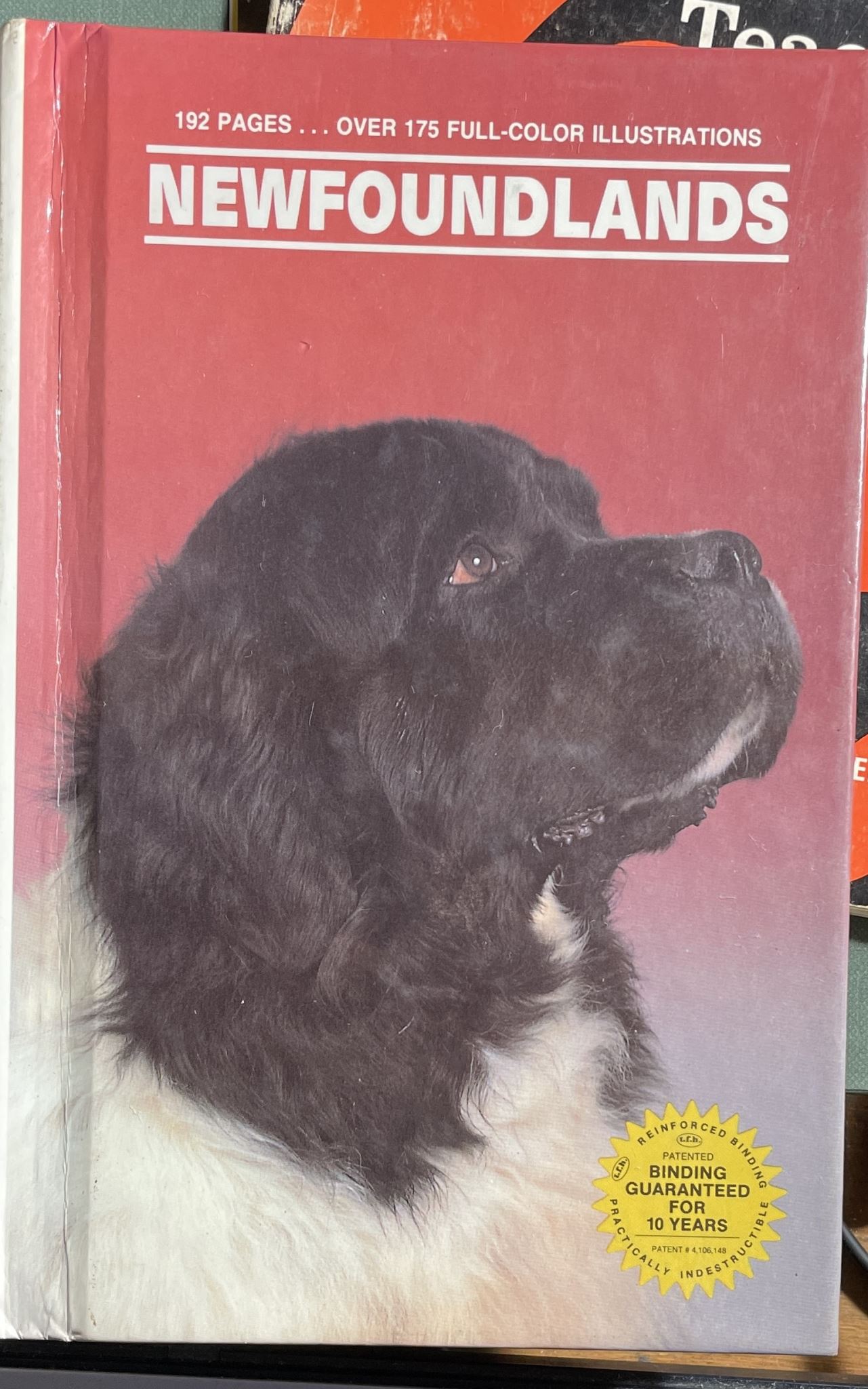 Newfoundlands