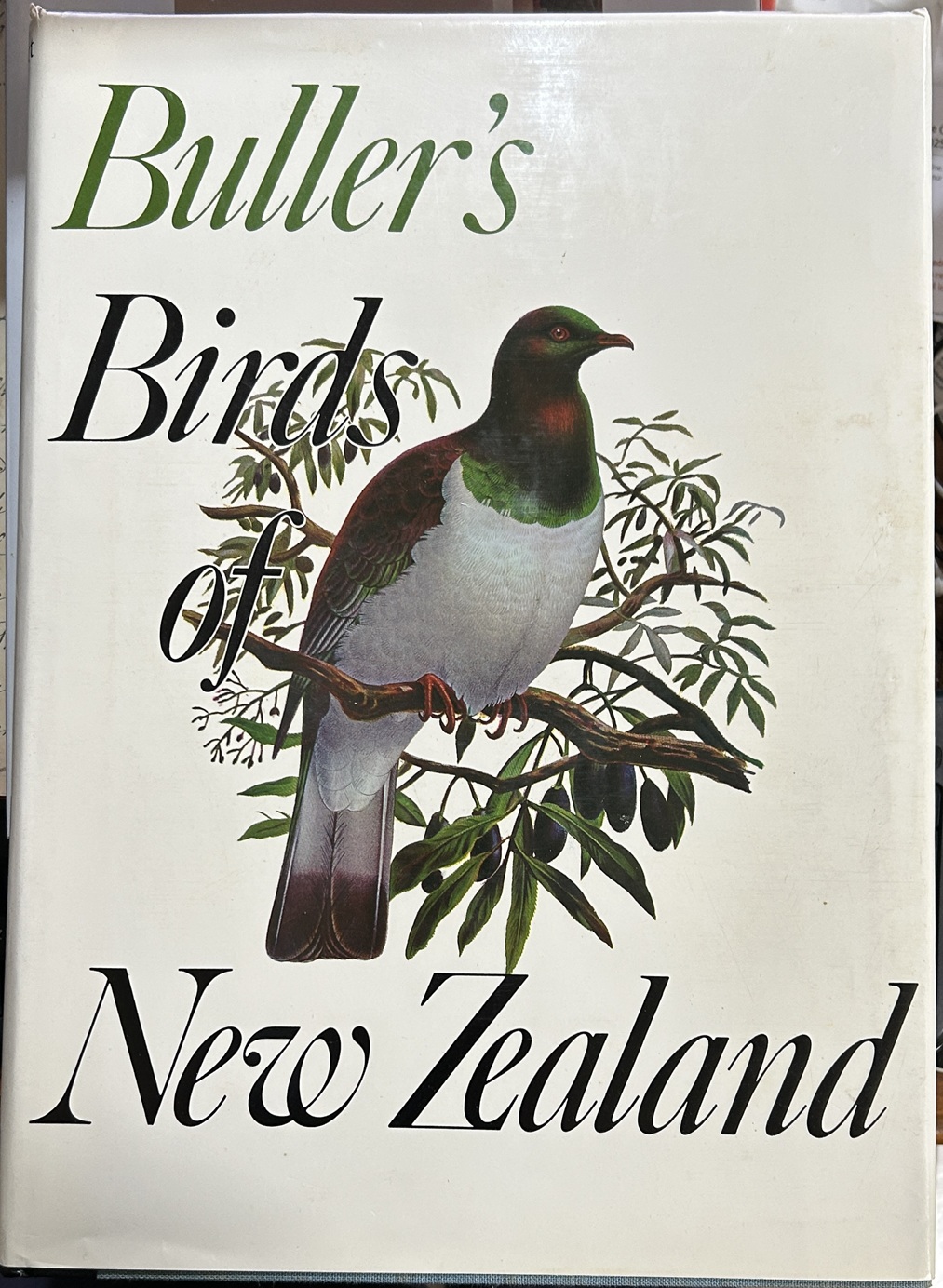 Buller's Birds of New Zealand