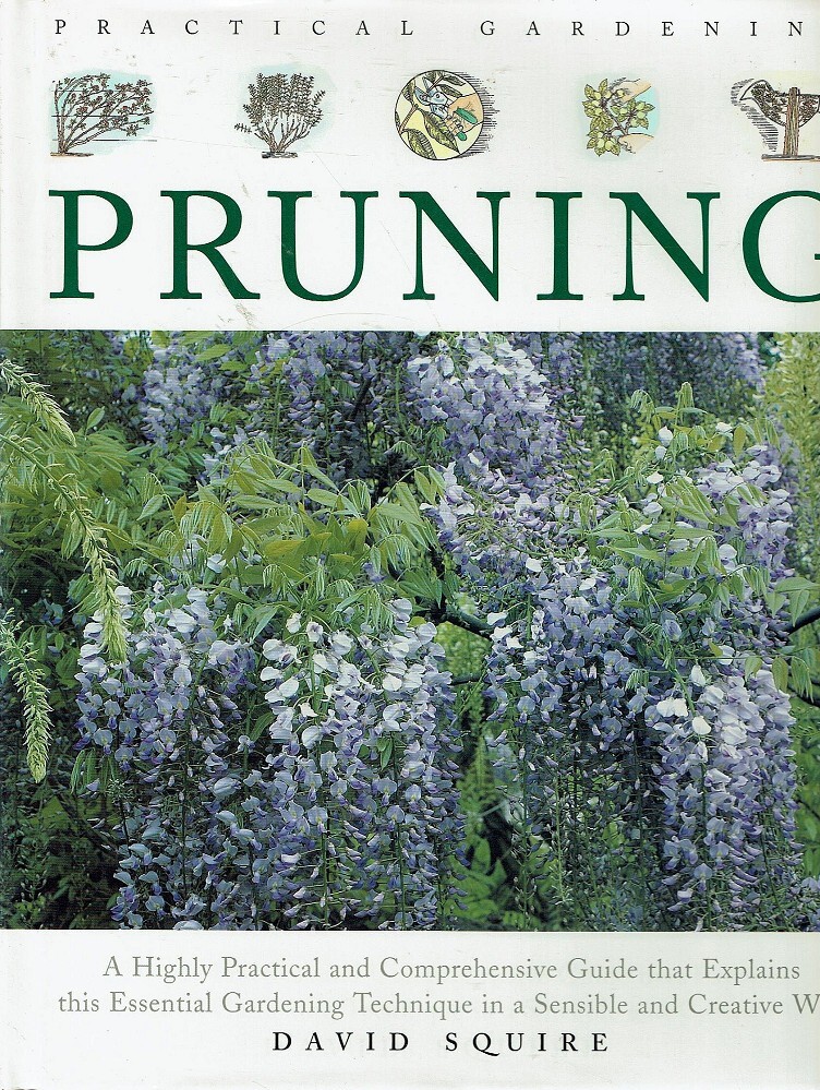 Practical Gardening Pruning by David Squire