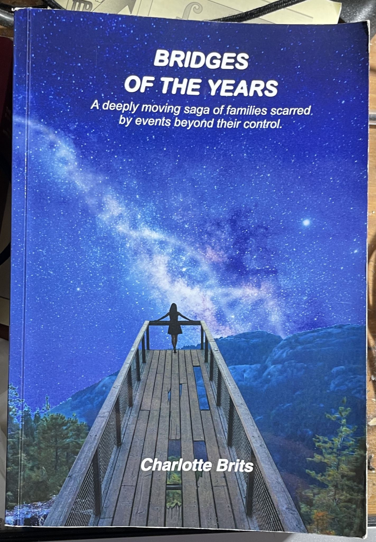 Bridges of the Years by Charlotte Brits Signed