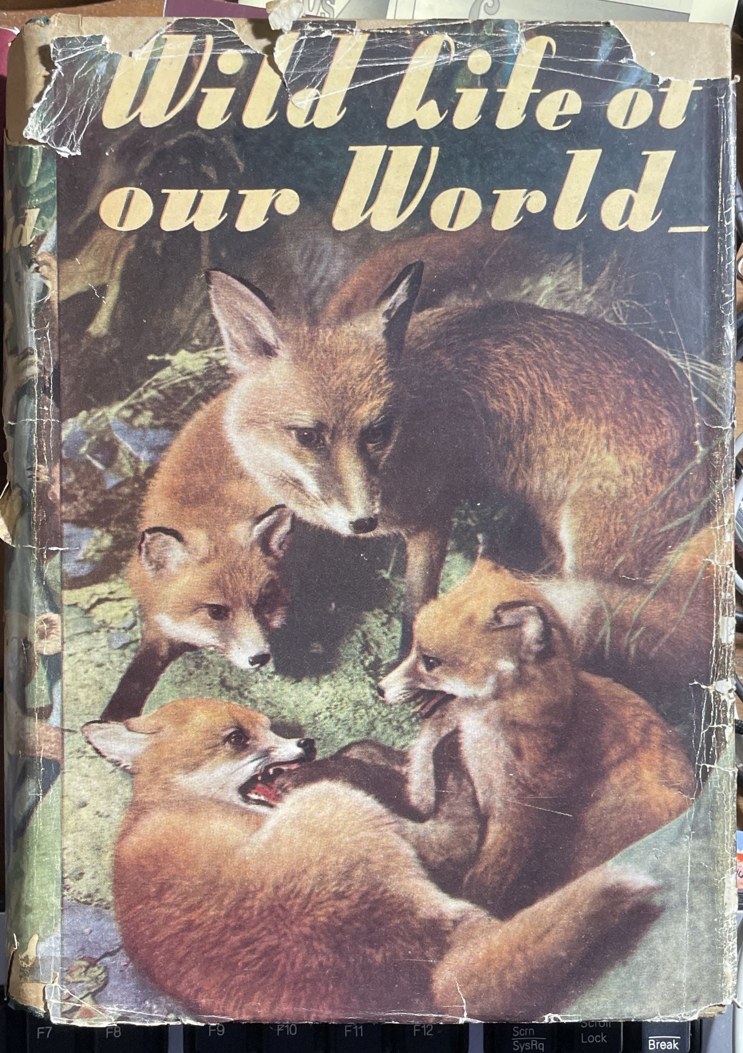 Wild Life of Our World by Crossland John R and JM Parrish