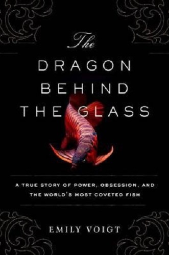The Dragon Behind the Glass by Emily Voigt