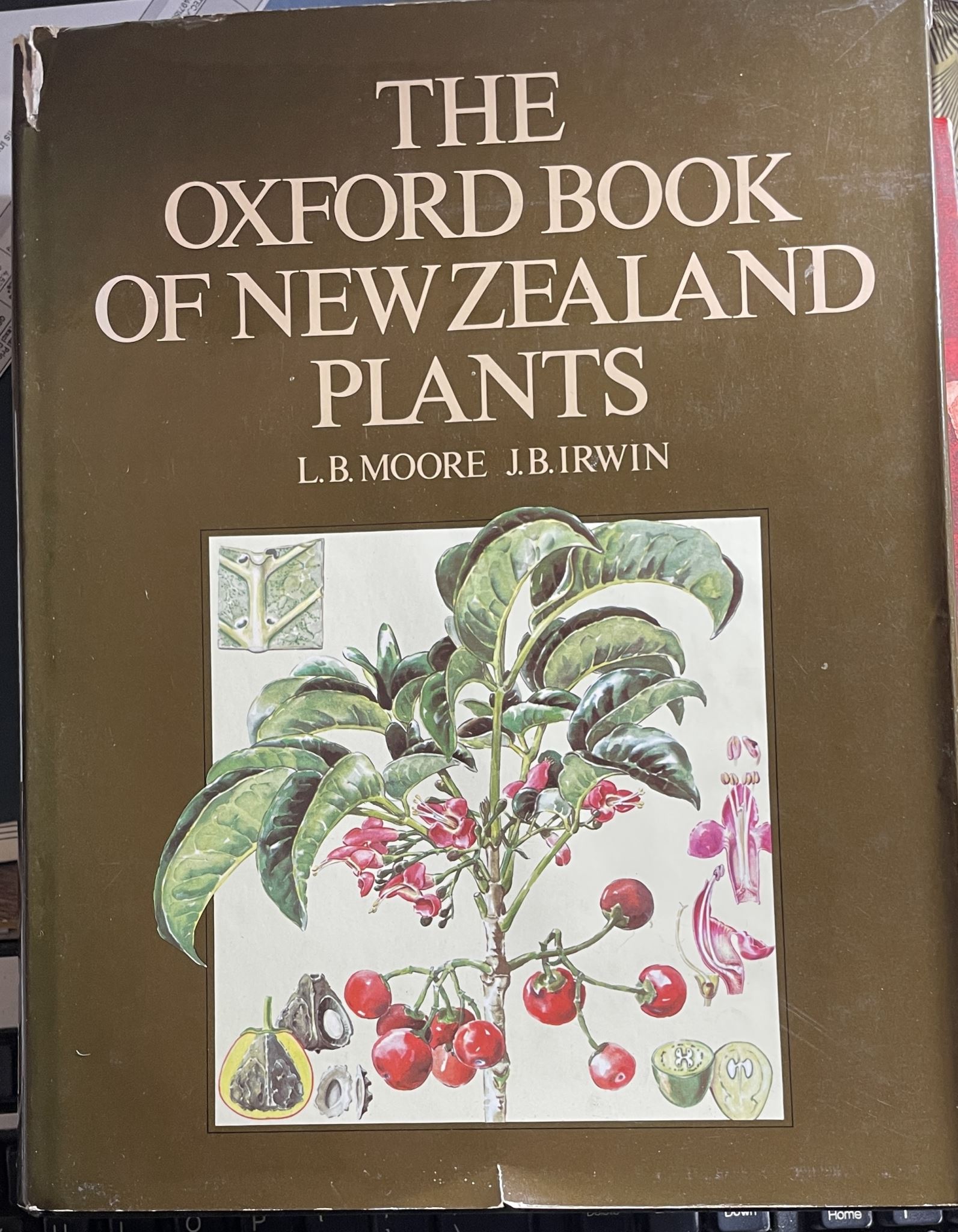 The Oxford Book of New Zealand Plants by L B Moore, H B Irwin