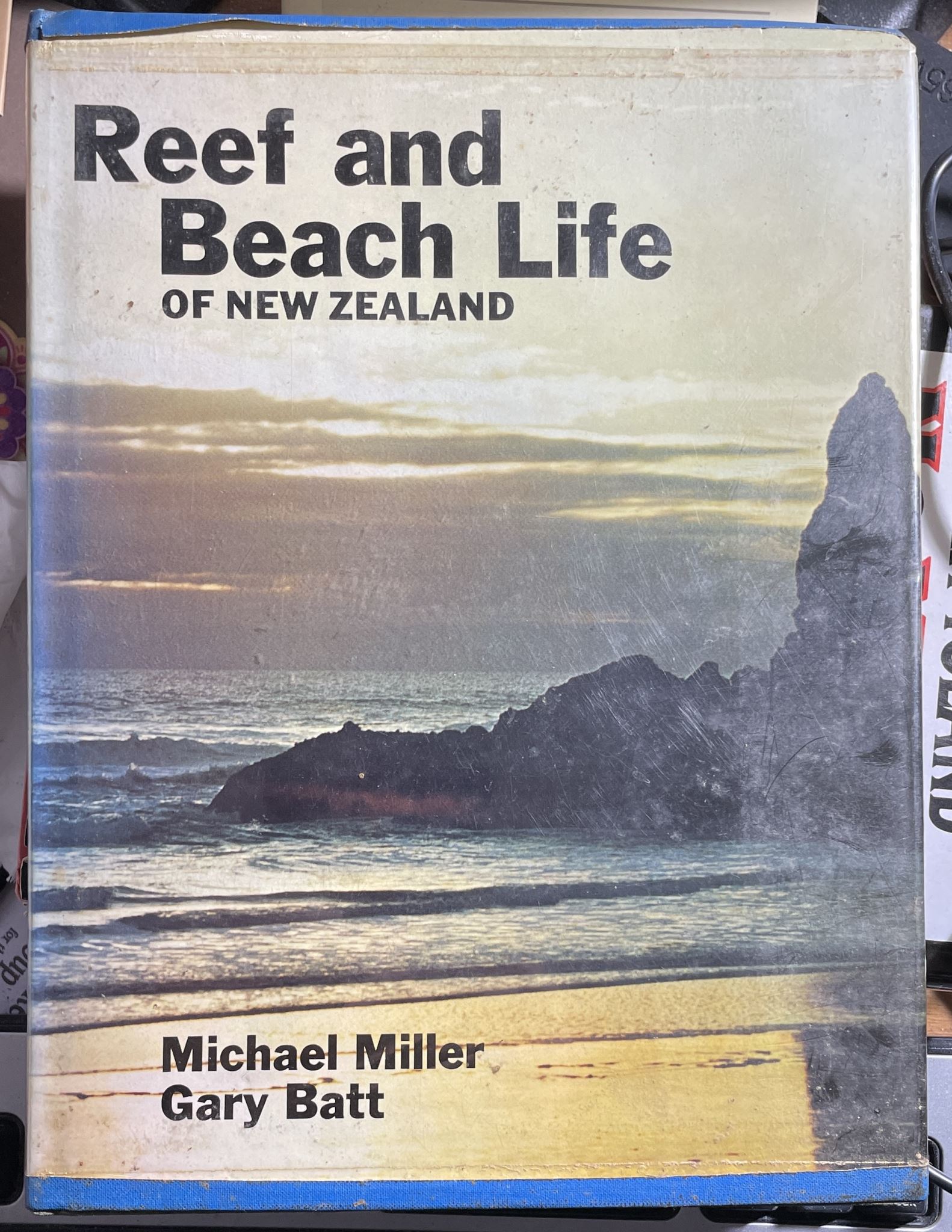 Reef and Beach Life of New Zealand by Gary Batt and Michael Miller