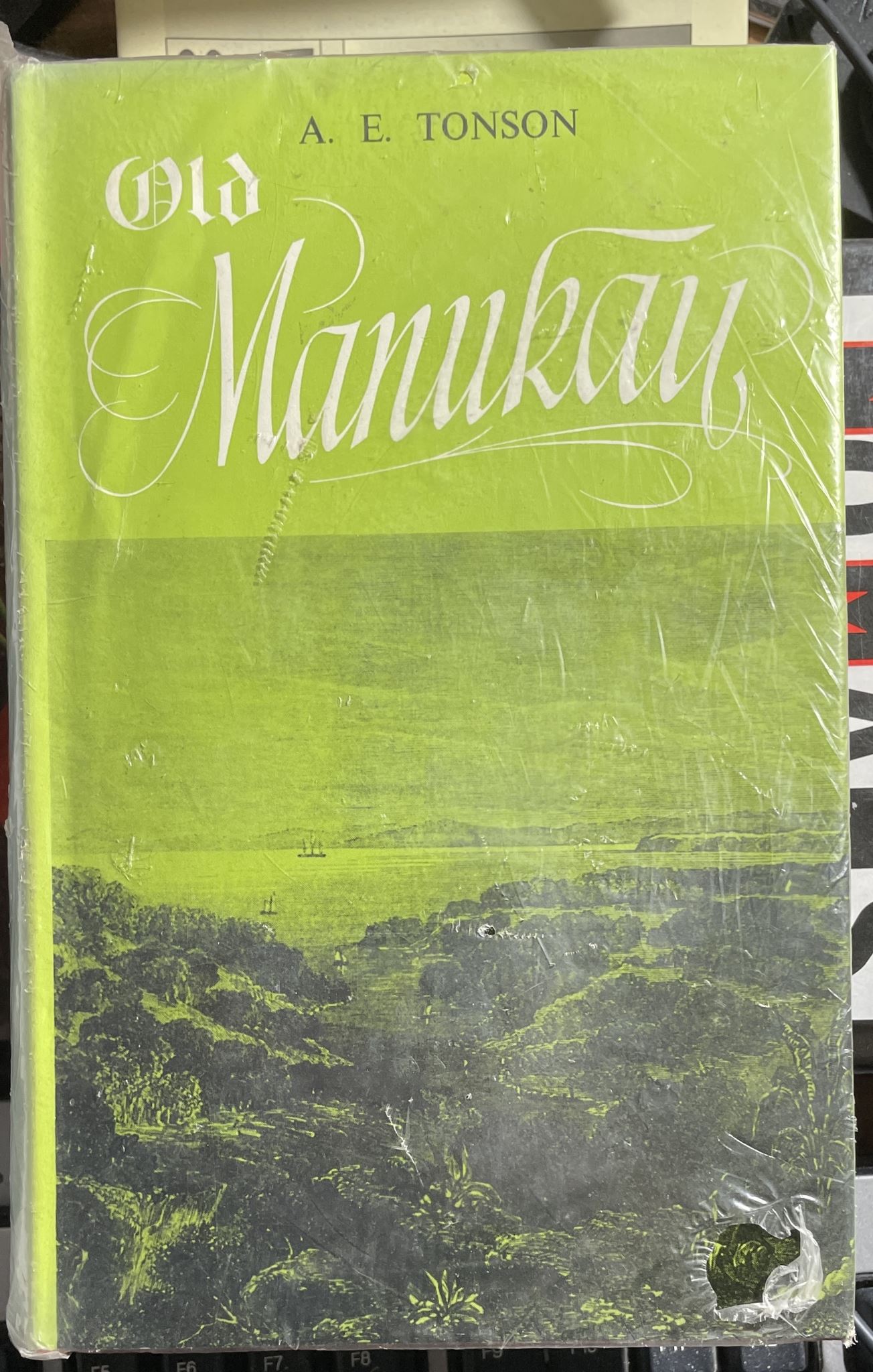 Old Manukau by A E Tonson
