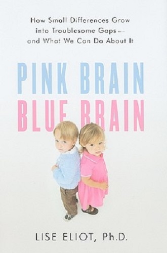 Pink Brain, Blue Brain How Small Differences Grow Into Troublesome Gaps