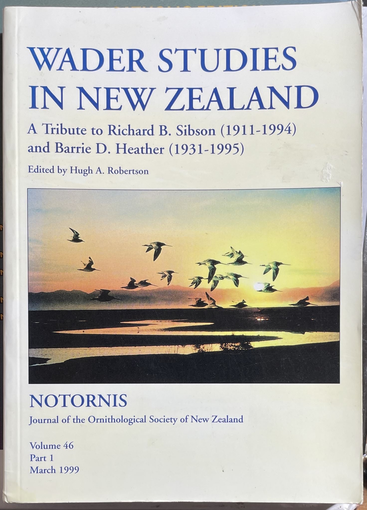 Wader Studies in New Zealand A Tribute to Richard B Sibson and Barrie D Heather