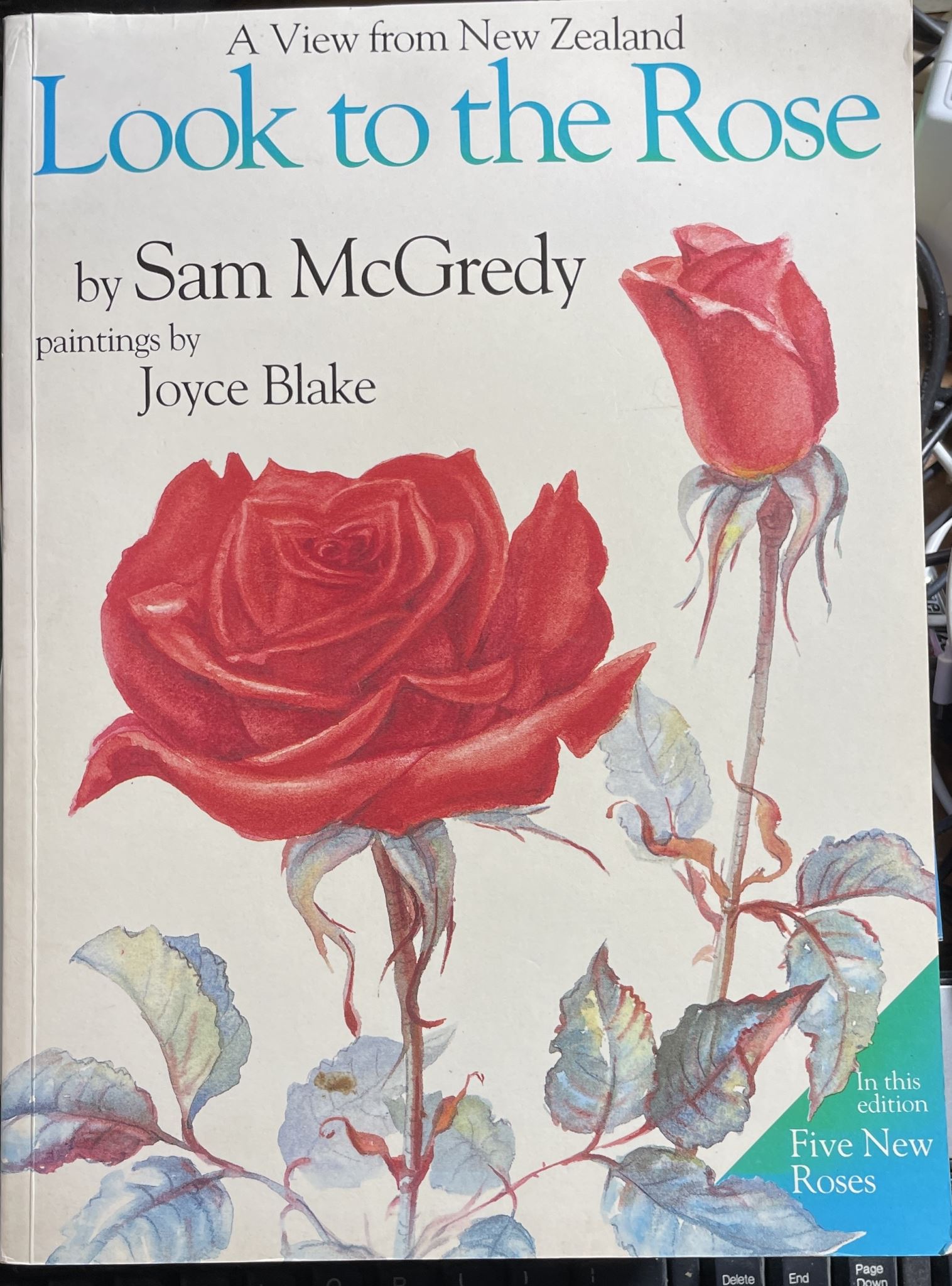 Look to the Rose by Sam McGredy & Joyce Blake
