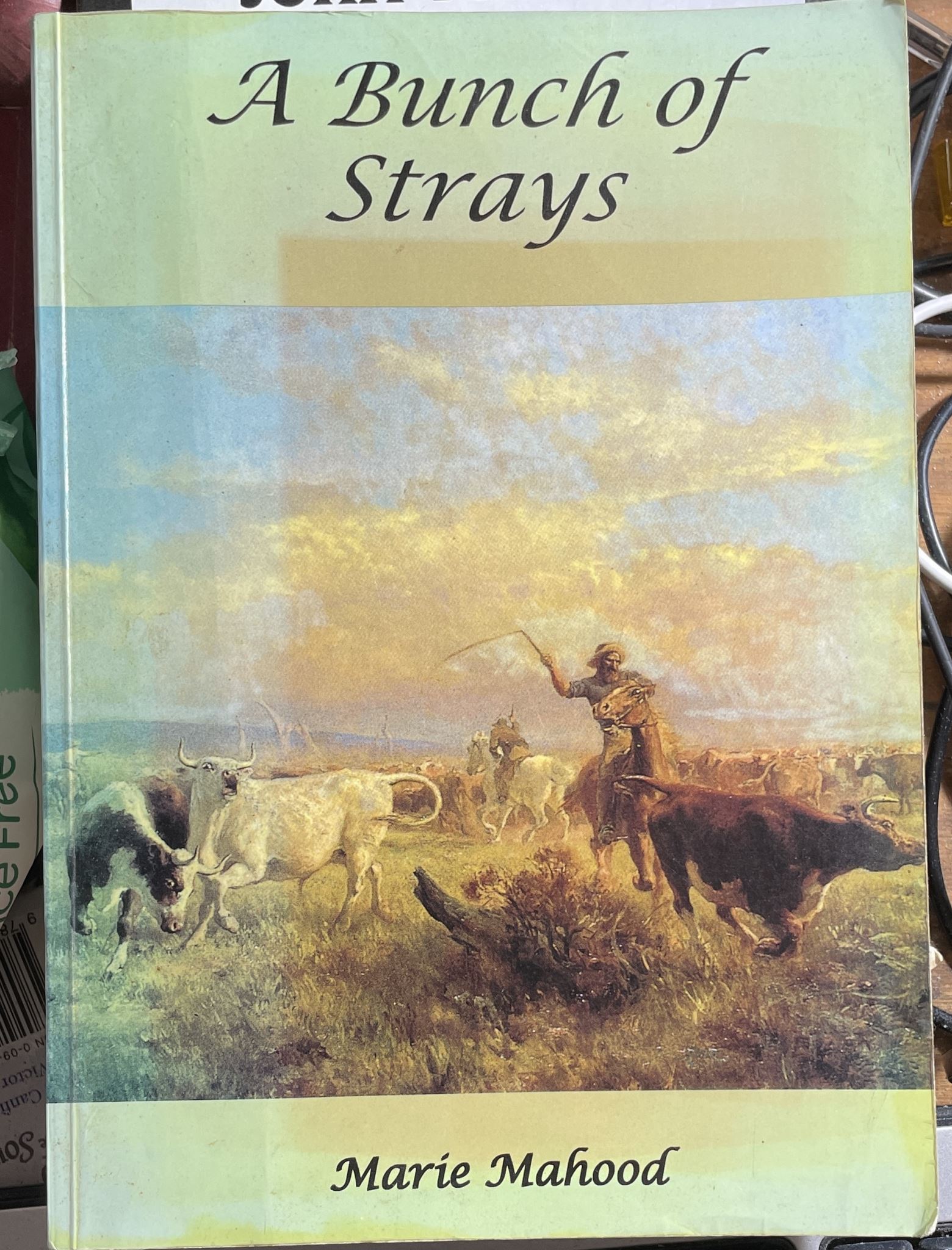 A Bunch of Strays A Novel of the Outback by Marie Mahood