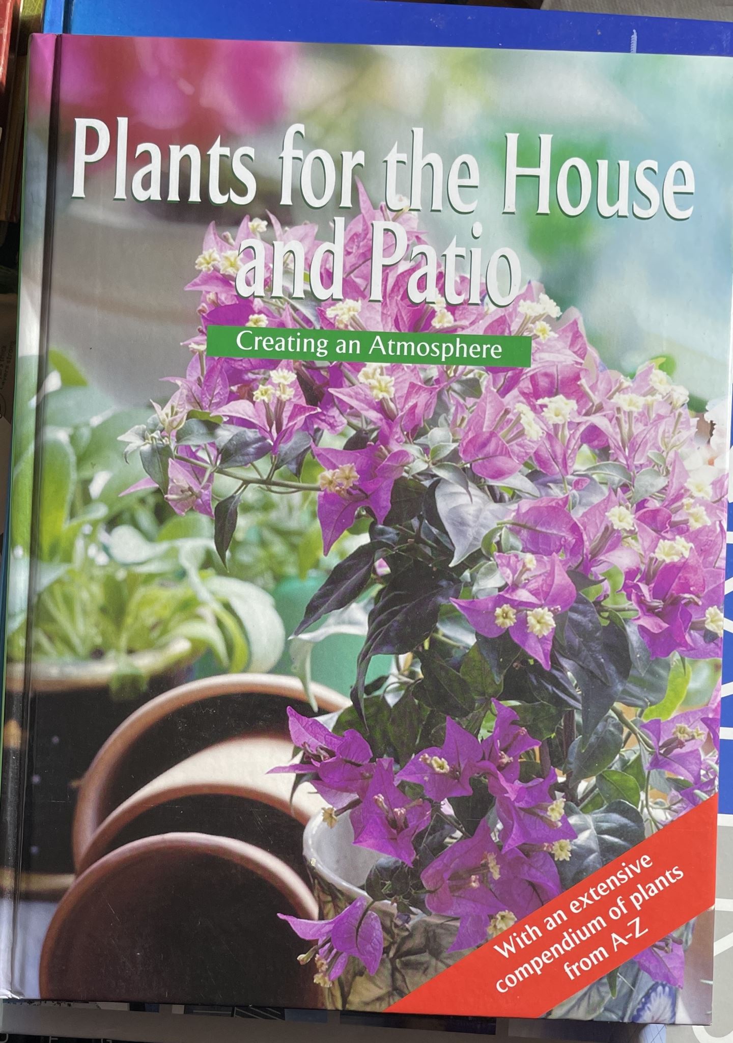 Plants for the House and Patio Creating An Atmosphere