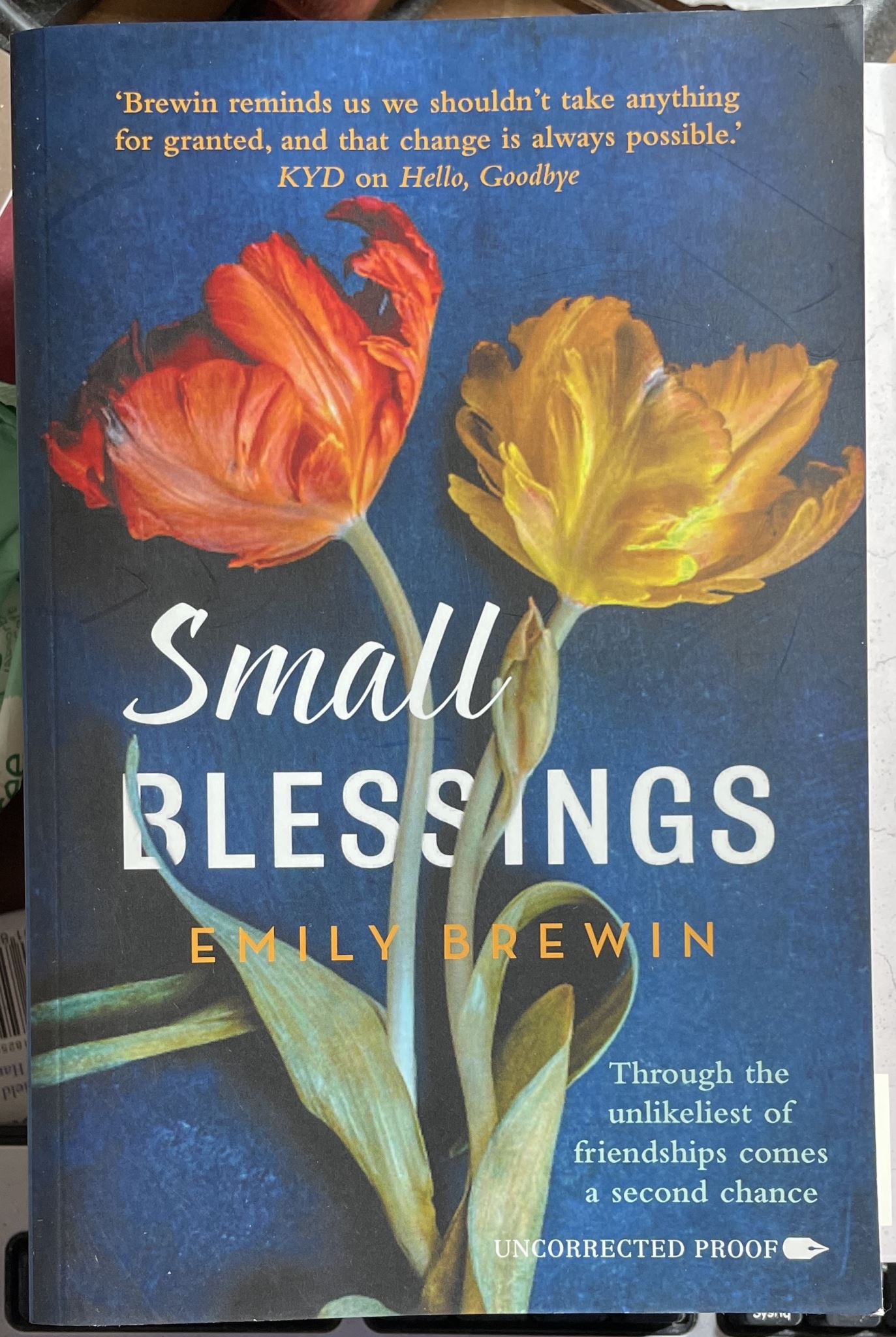 Small Blessings by Emily Brewin (Uncorrected Proof)
