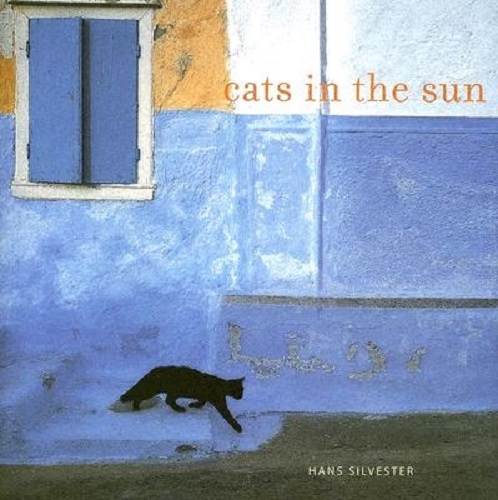 Cats in the Sun by Hans Walter Silvester