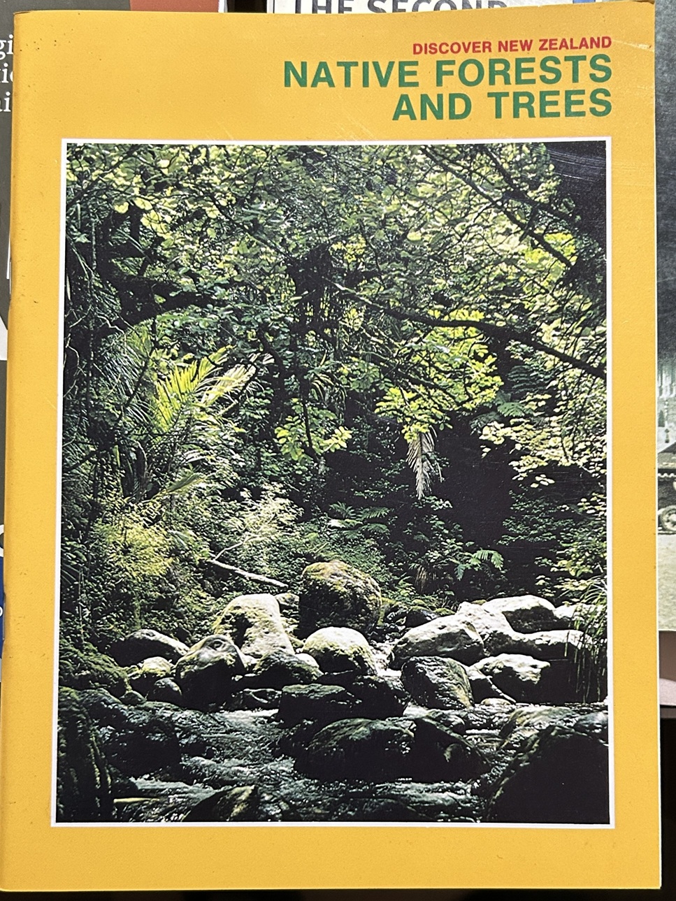 Discover New Zealand Native Forests and Trees