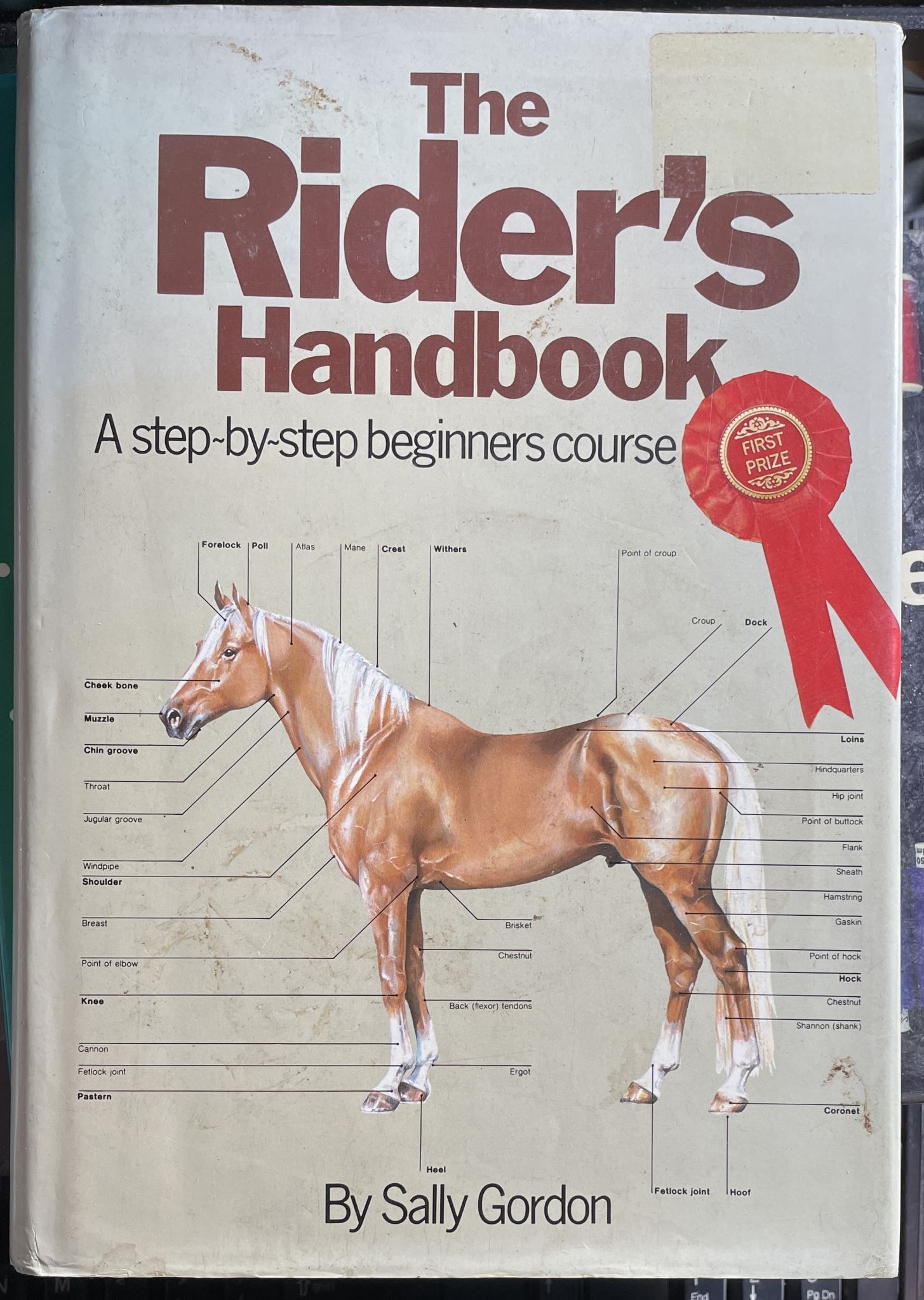 The Rider's Handbook by Sally Gordon