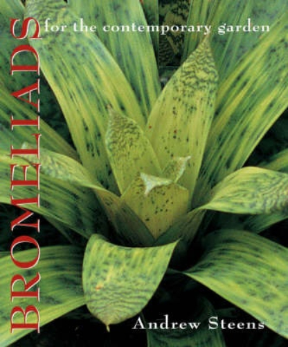 Bromeliads for the Contemporary Garden