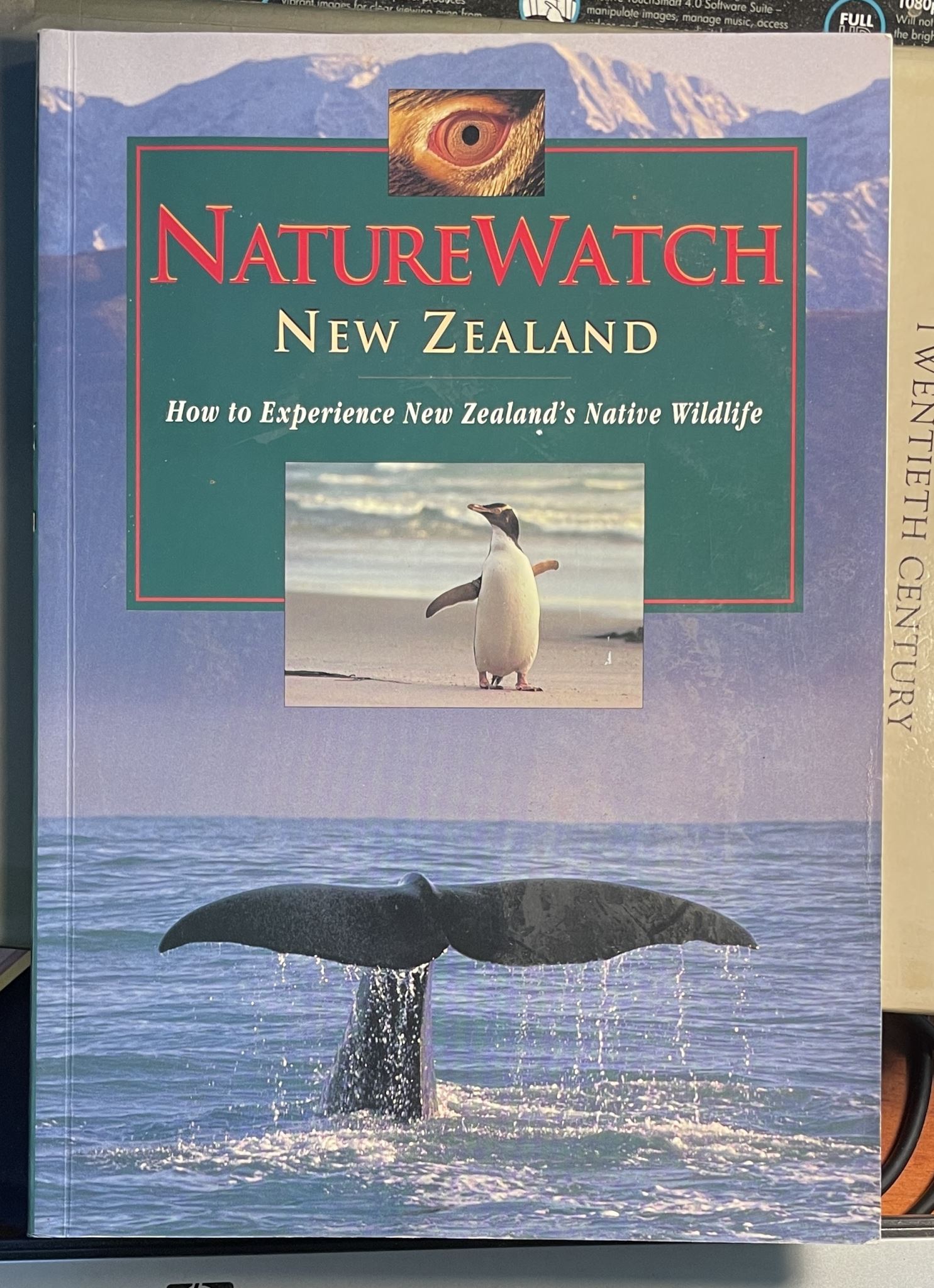 Naturewatch New Zealand How to Experience New Zealand's Native Wildlife