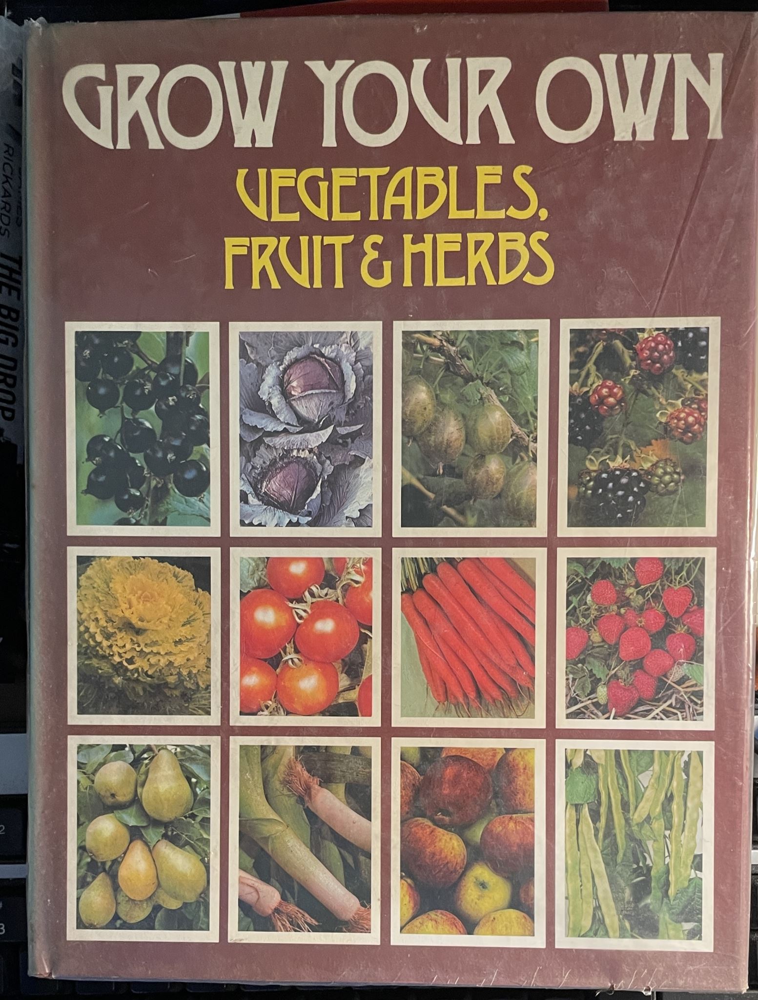 Grow Your Own Vegetables, Fruits & Herbs