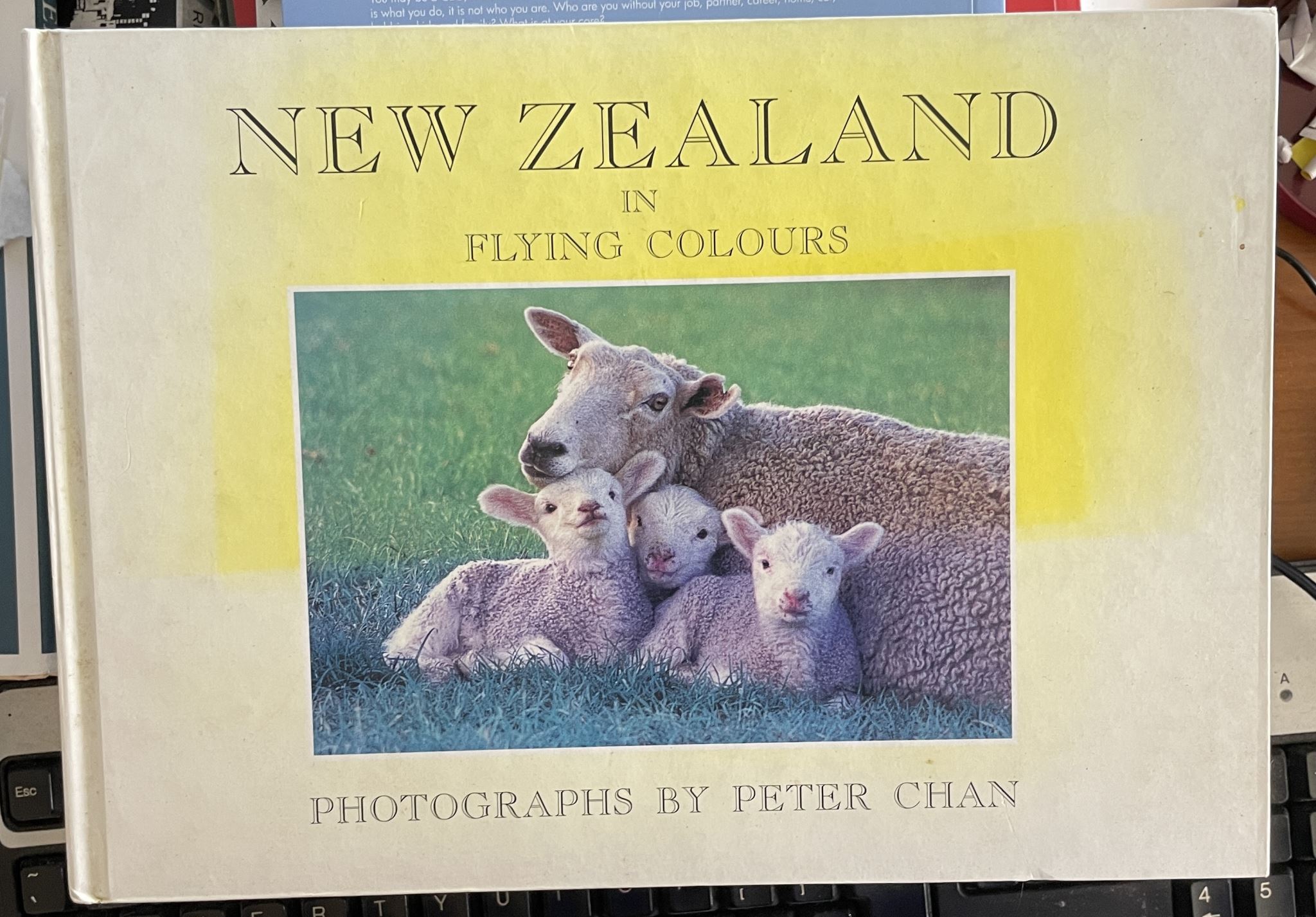 New Zealand in Flying Colours Photographs by Peter Chan