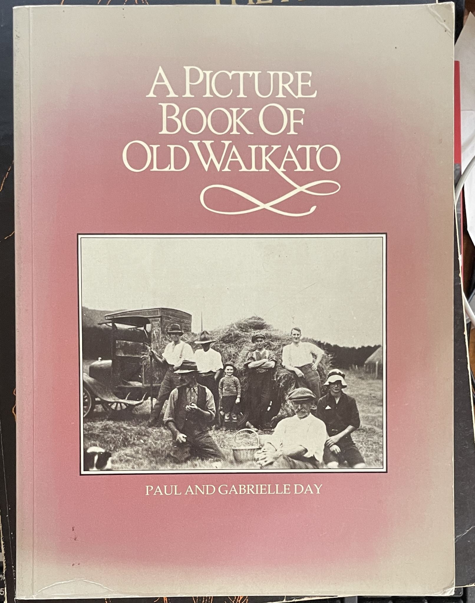 A picture book of Old Waikato by Paul and Gabrielle Day