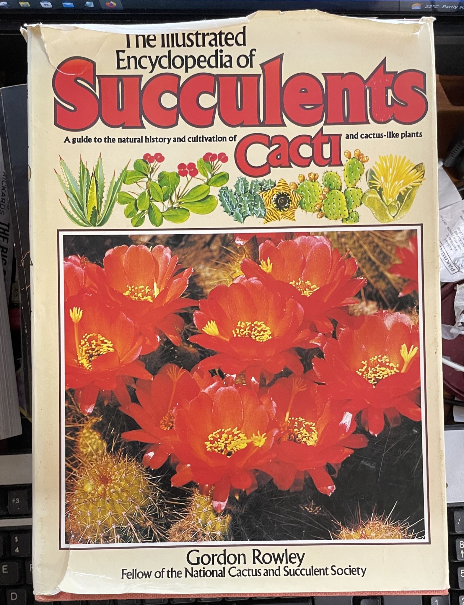 The Illustrated Encyclopedia of Succulents History and Cultivation of Cacti