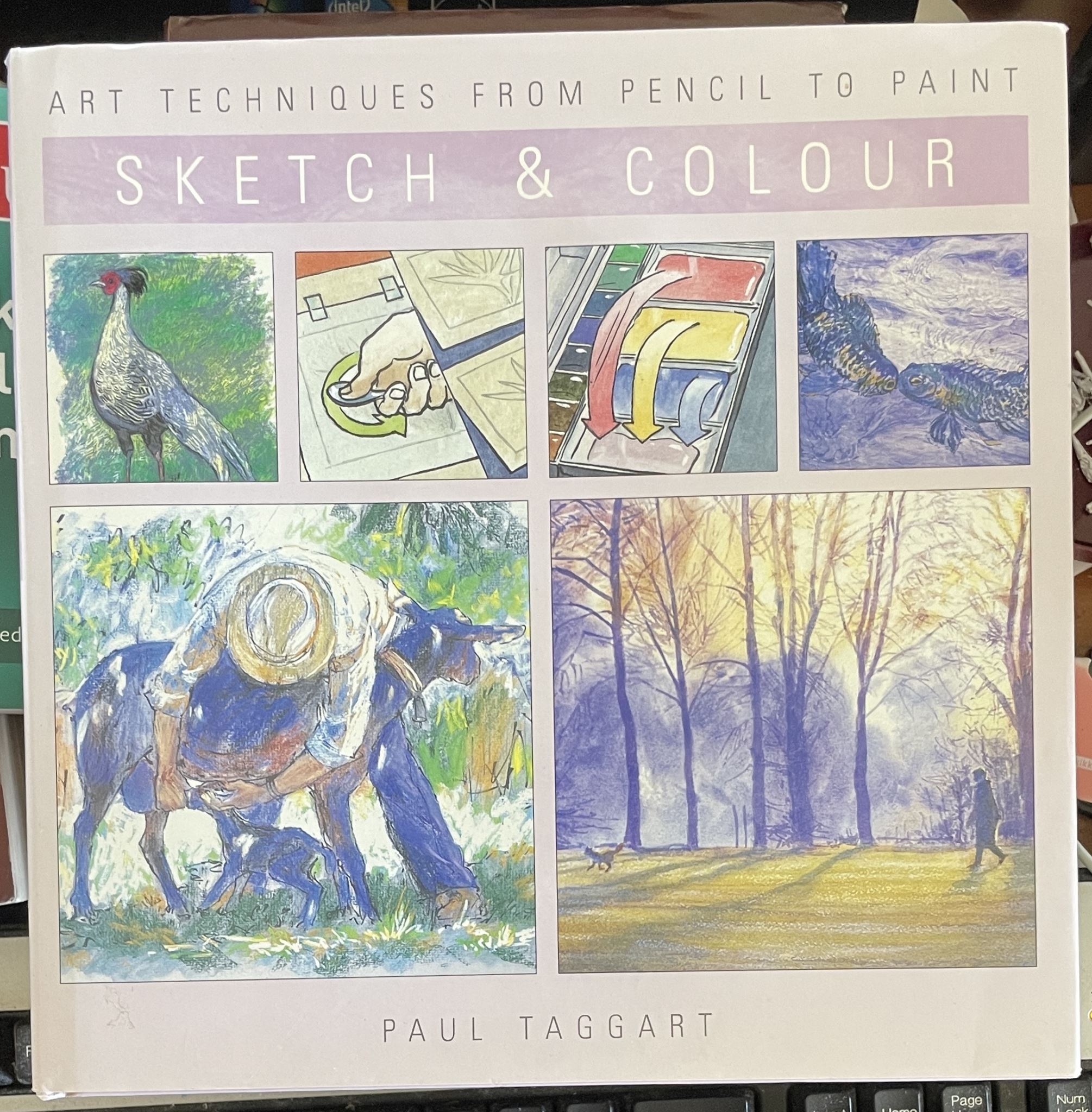Sketch and Colour (Art Techniques Pencil to Paint) by Paul Taggart