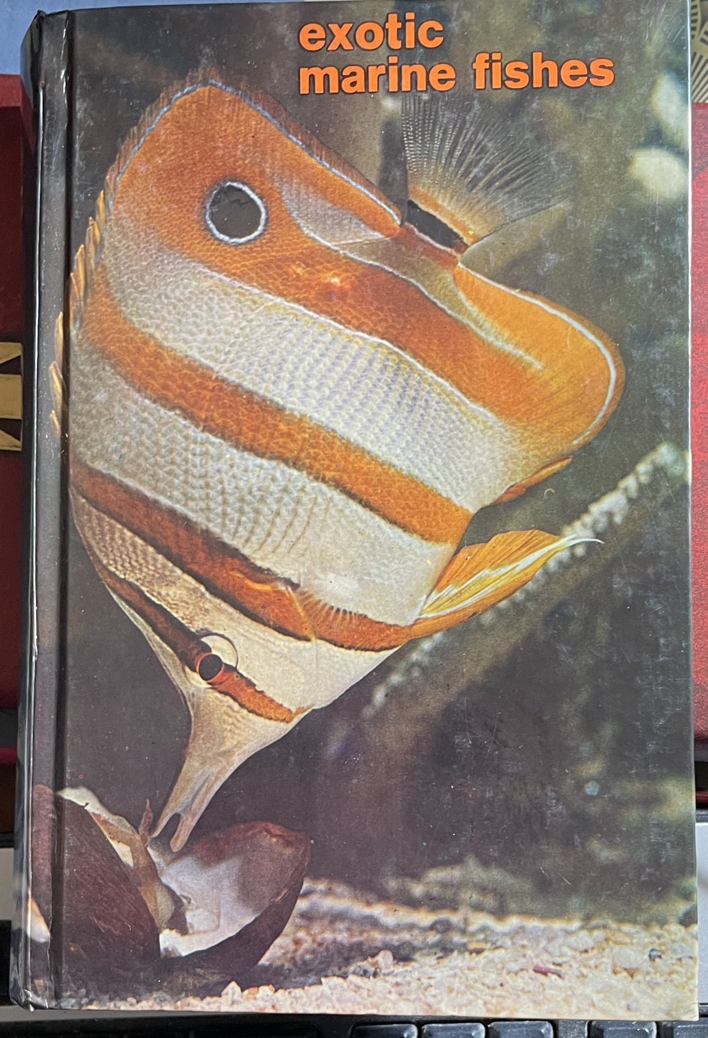 Exotic Marine Fishes by Herbert R. Axelrod, Warren E Burgess, Cliff W Emmens