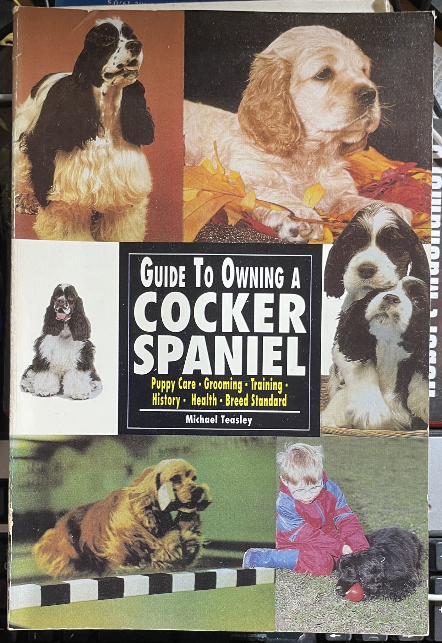 The Guide to Owning a Cocker Spaniel Puppy Care, Grooming, Training, History