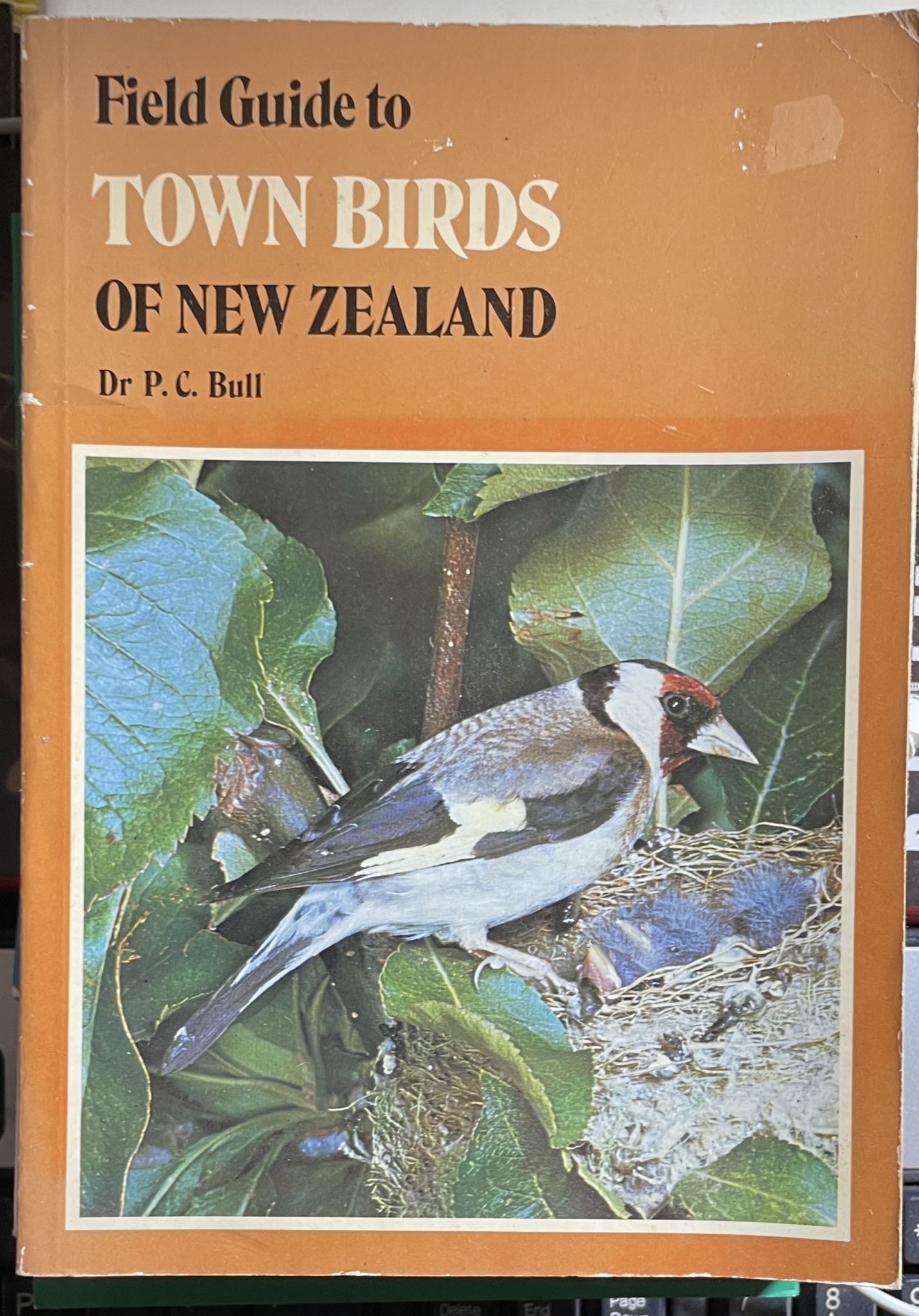 Field Guide to Town Birds of New Zealand by Dr P. C. Bull