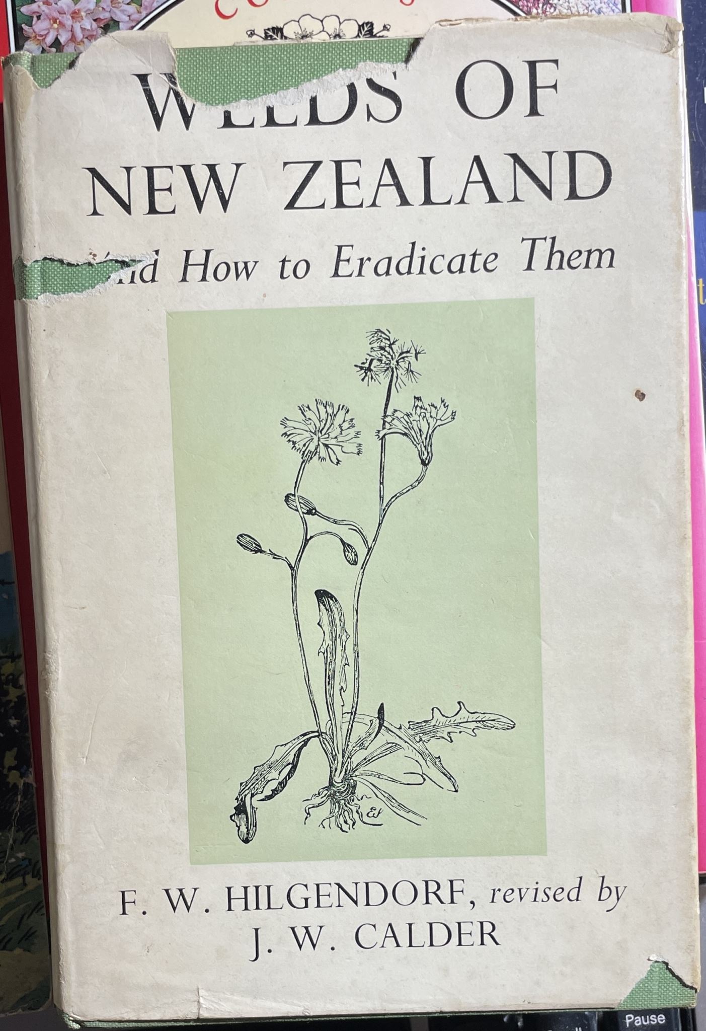 Weeds of New Zealand and How to Eradicate them