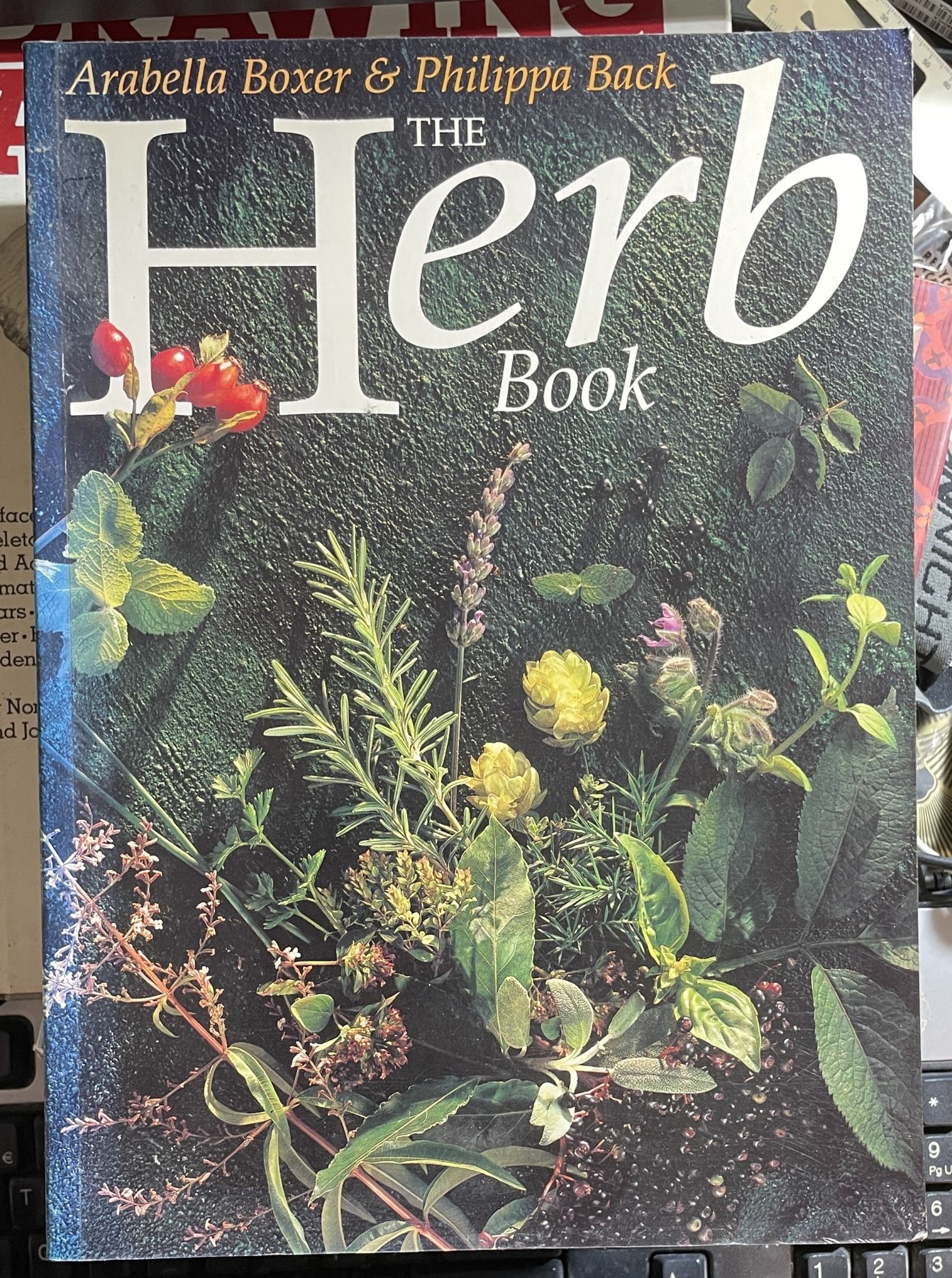 The Herb Book by Arabella Boxer & Philippa Back