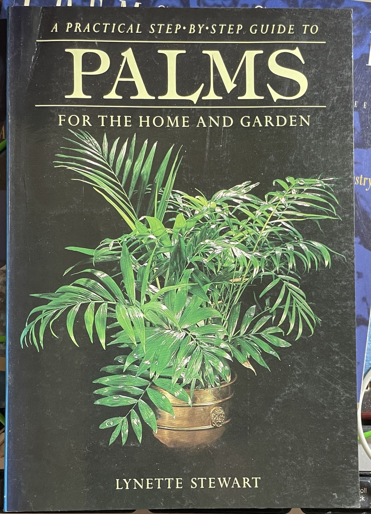 Palms For the Home and Garden by Lynette Stewart
