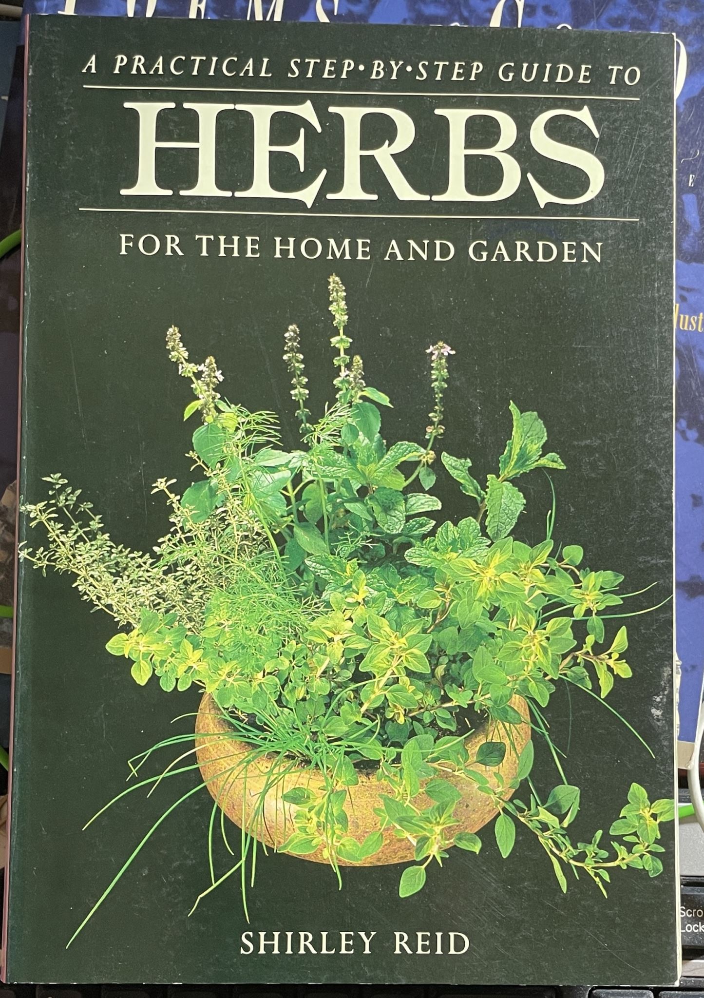 Herbs for the Home and Garden by Shirley Reid