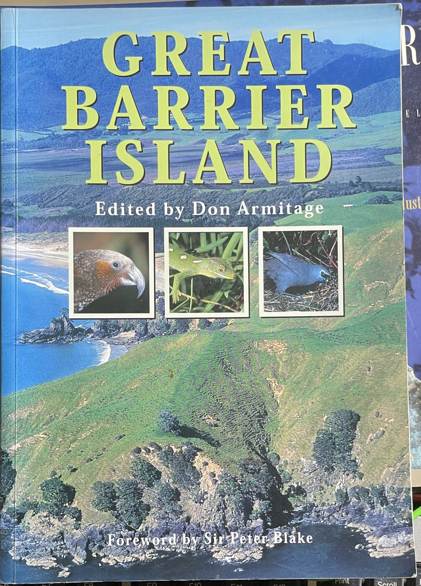 Great Barrier Island by Don Armitage