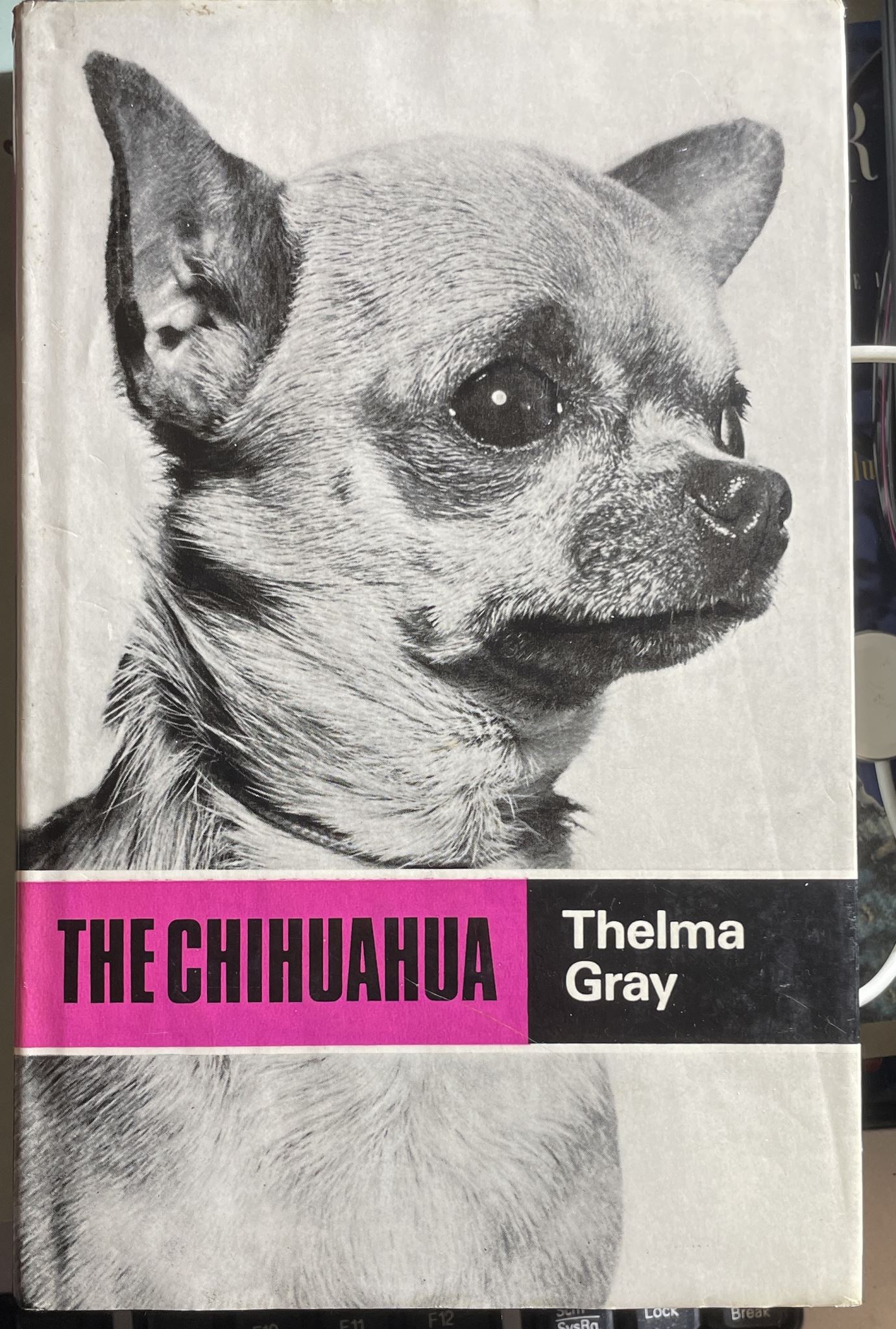The Chihuahua by Thelma Gray