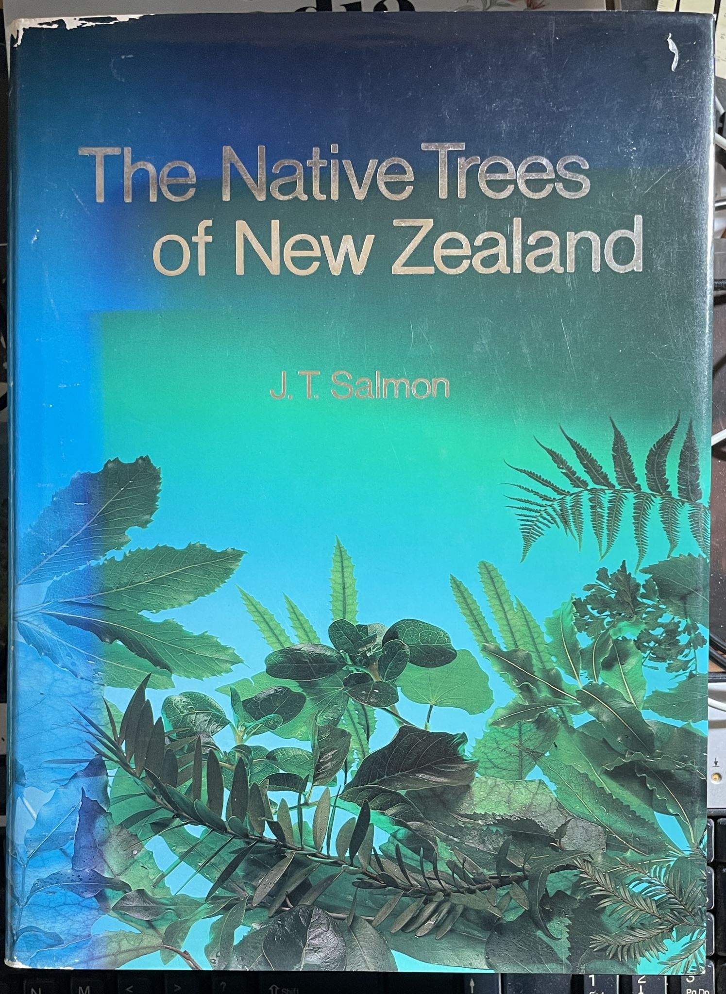 The Native Trees of New Zealand by J T Salmon