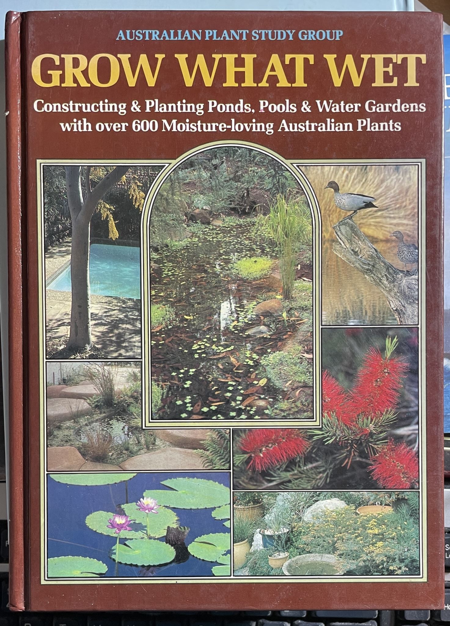 Grow What Wet Australian Plant Study Group