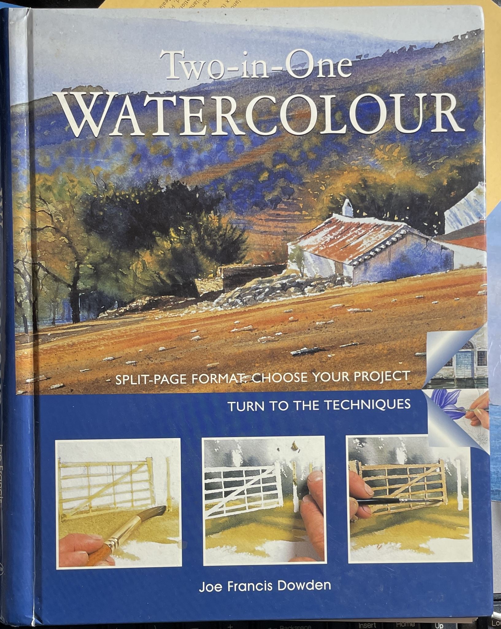 Two In One Watercolour by Joe Francis Dowden